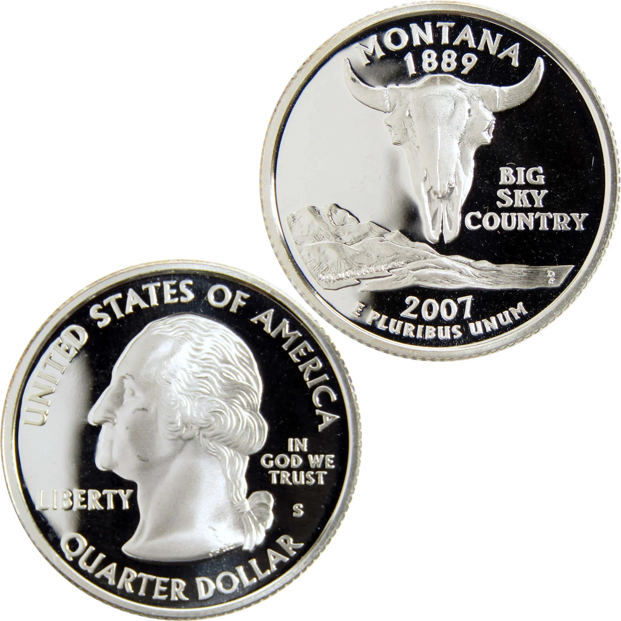 2007 Montana state quarter, collectible coin with bison skull and Washington profile