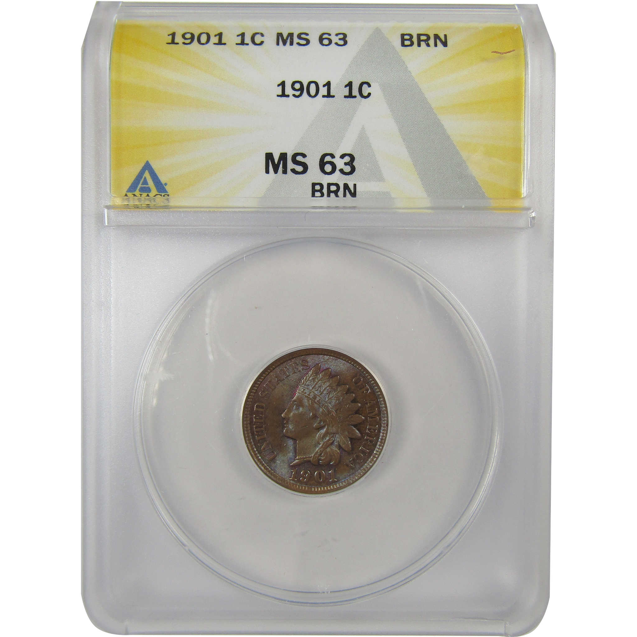 1901 Indian Head Cent MS 63 BN ANACS Penny Uncirculated SKU:I23009
