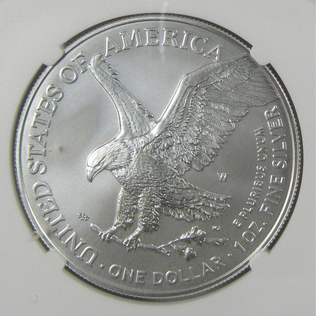 2025 W American Silver Eagle MS 70 NGC Burnished $1 Coin First Day