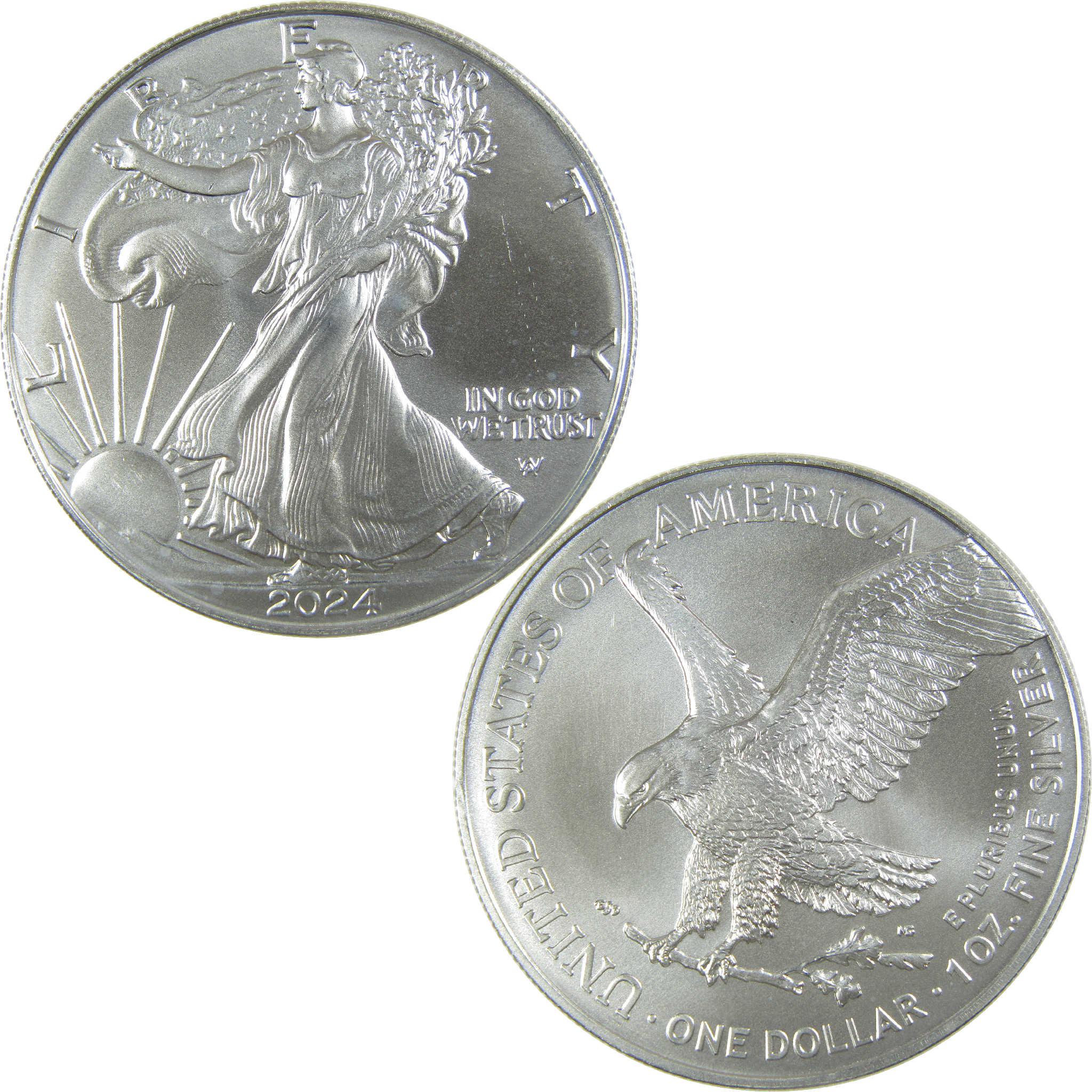2024 American Silver Eagle Uncirculated Mint State $1 Coin Collectible
