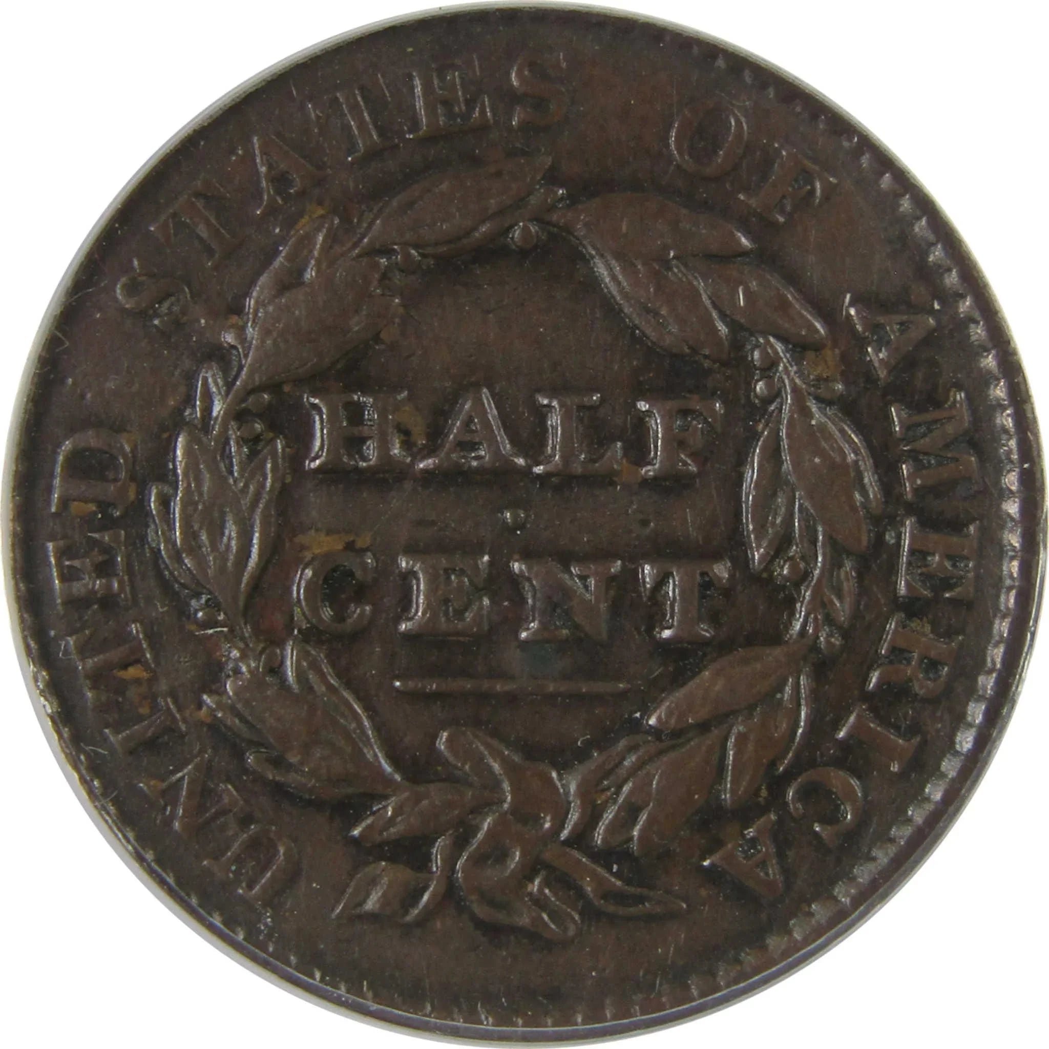 1828 13 Stars Classic Head Half Cent EF 40 Details ANACS SKU:CPC1131