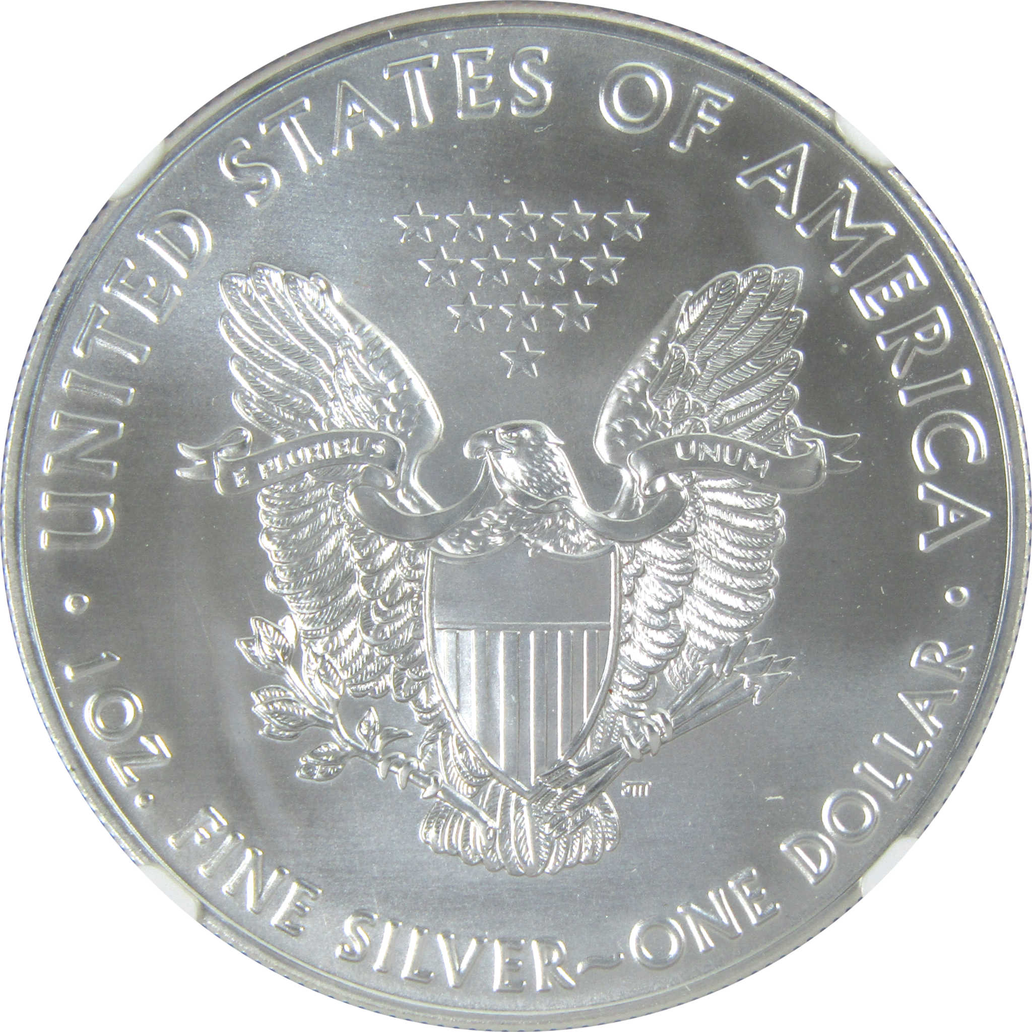 2021 Type 1 American Silver Eagle MS 70 NGC Bullion Uncirculated