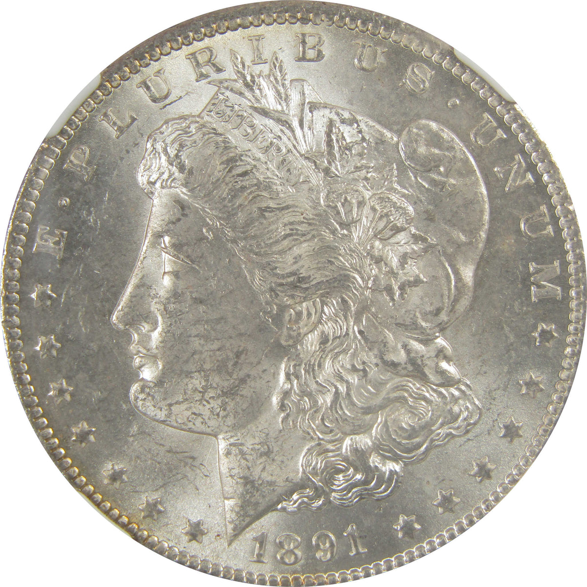 1891 CC VAM-3 Spitting Eagle Top 100 Morgan Dollar MS61 NGC SKU:I21998 - Morgan coin - Morgan silver dollar - Morgan silver dollar for sale - Profile Coins & Collectibles