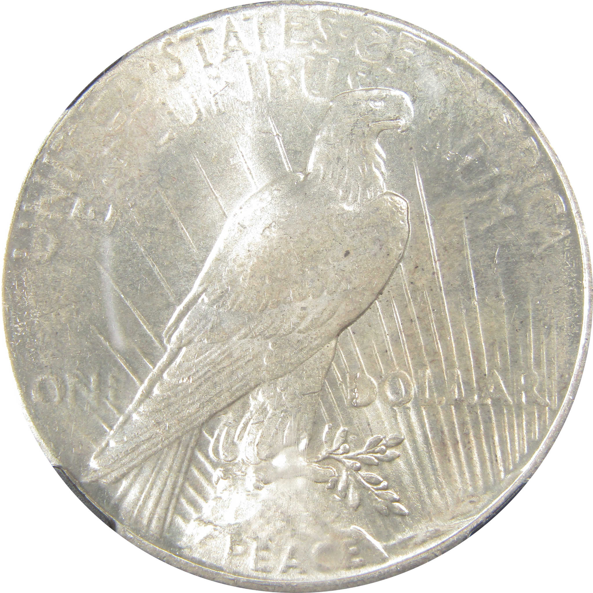 1926 Peace Dollar MS 64 NGC Silver Original Bag Fragment SKU:I23599