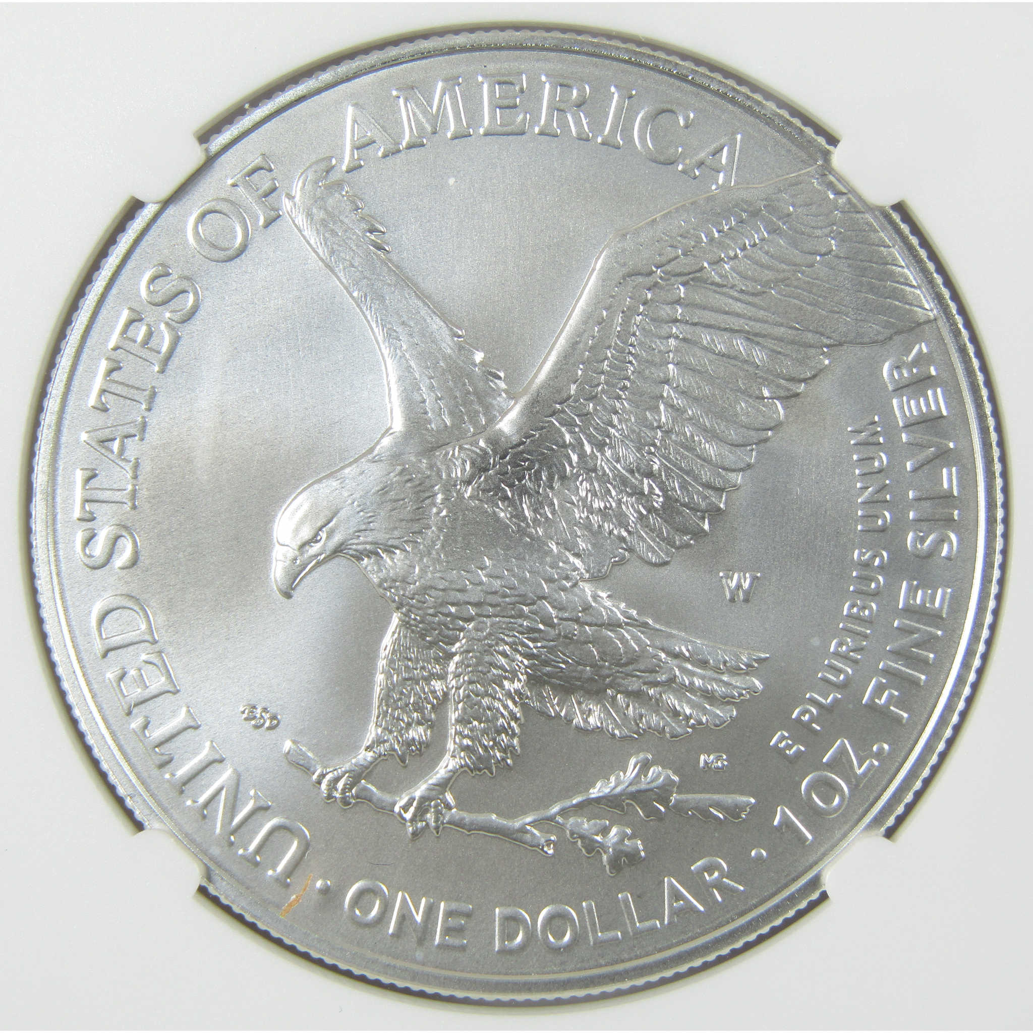 2024 W American Silver Eagle MS 70 NGC Burnished $1 Coin First Day