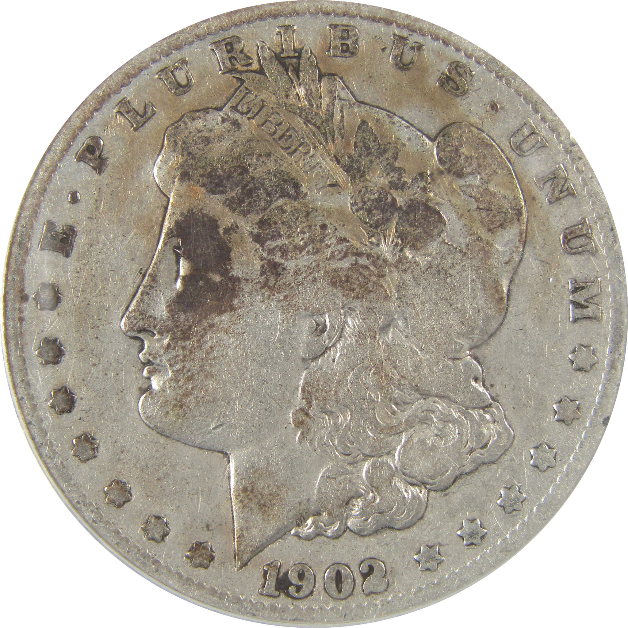 1902 S Morgan Dollar VG 8 Details ANACS Silver $1 Coin SKU:I21662 - Morgan coin - Morgan silver dollar - Morgan silver dollar for sale - Profile Coins & Collectibles