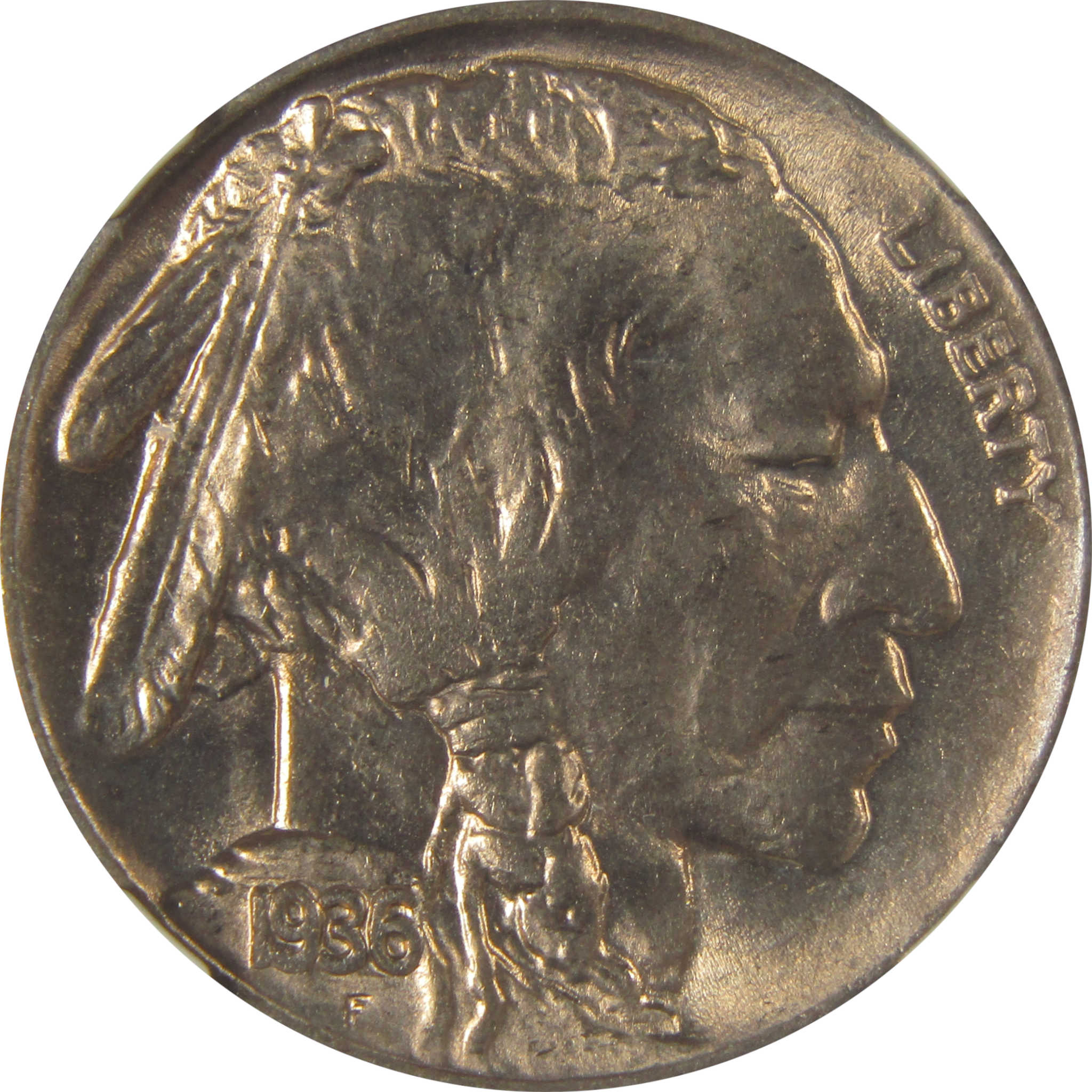 1936 D Indian Head Buffalo Nickel MS 66 NGC Bag Fragment SKU:I22664