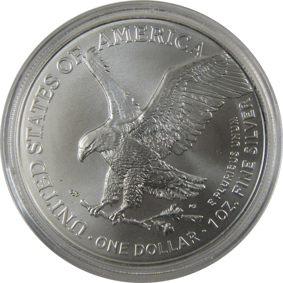 2025 Stars and Stripes Colorized and Hologram American Silver Eagle