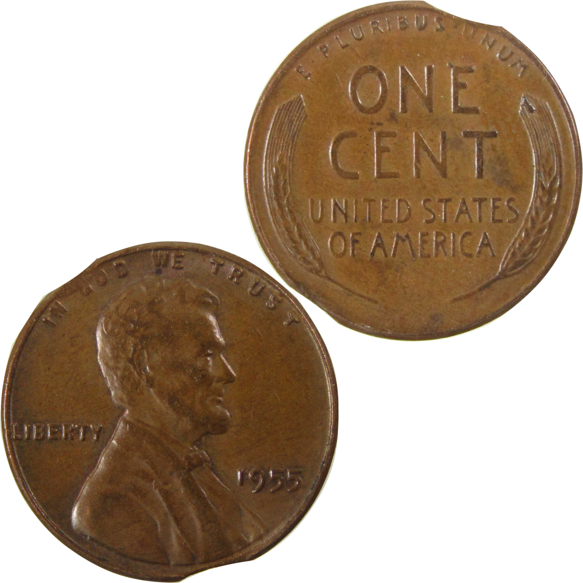 1955 Lincoln Wheat Cent AU About Uncirculated Planchet Flaw SKU:CP1605