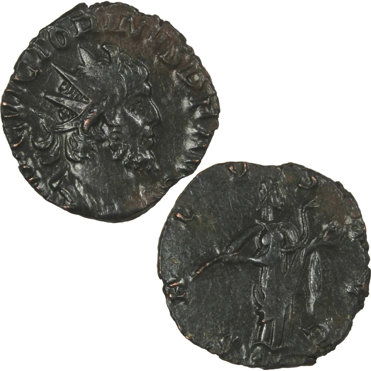 269-271 AD Victorinus Bronze Antoninianus Salus Reverse Extremely Fine