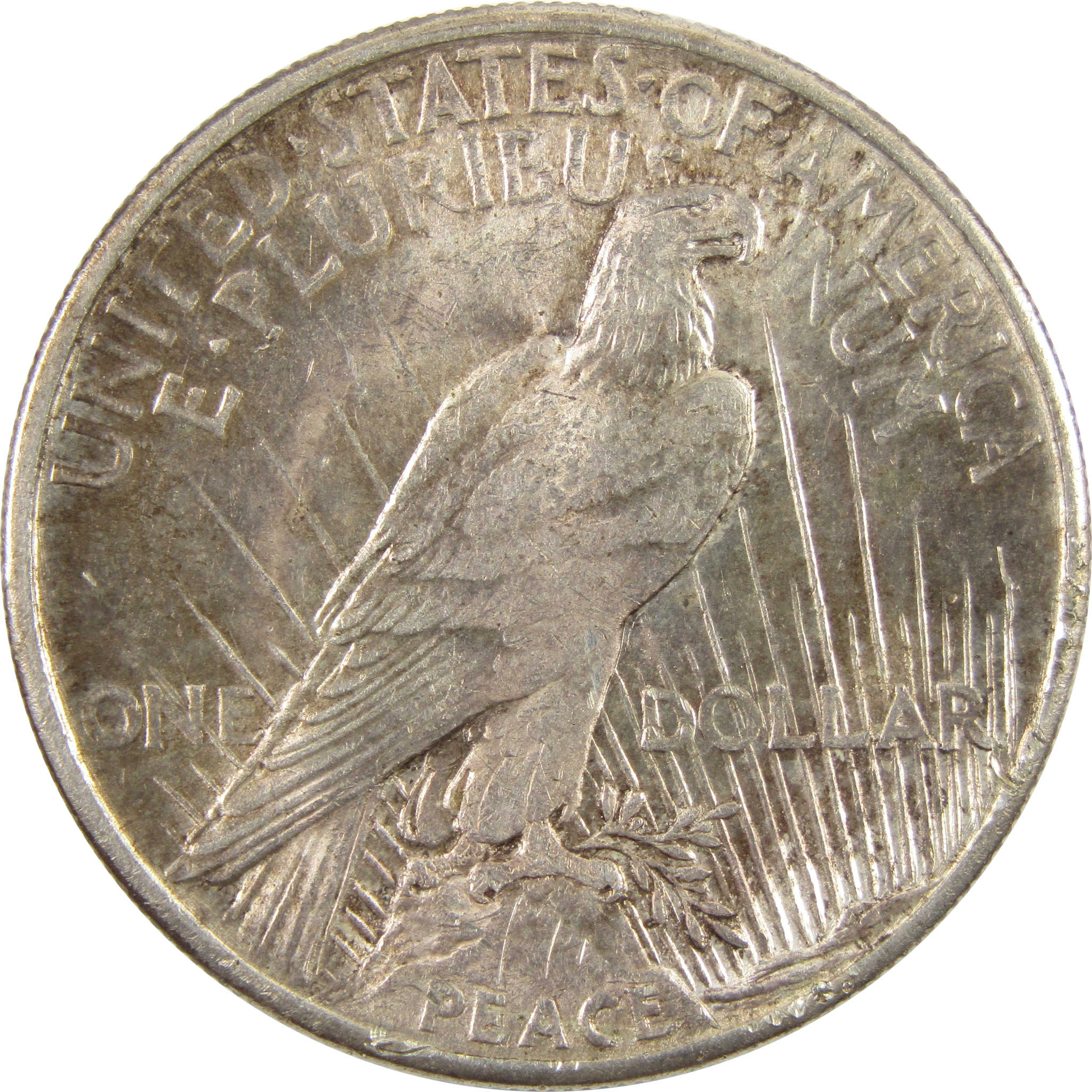1921 High Relief Peace Dollar Borderline Unc 90% Silver $1 SKU:I11187