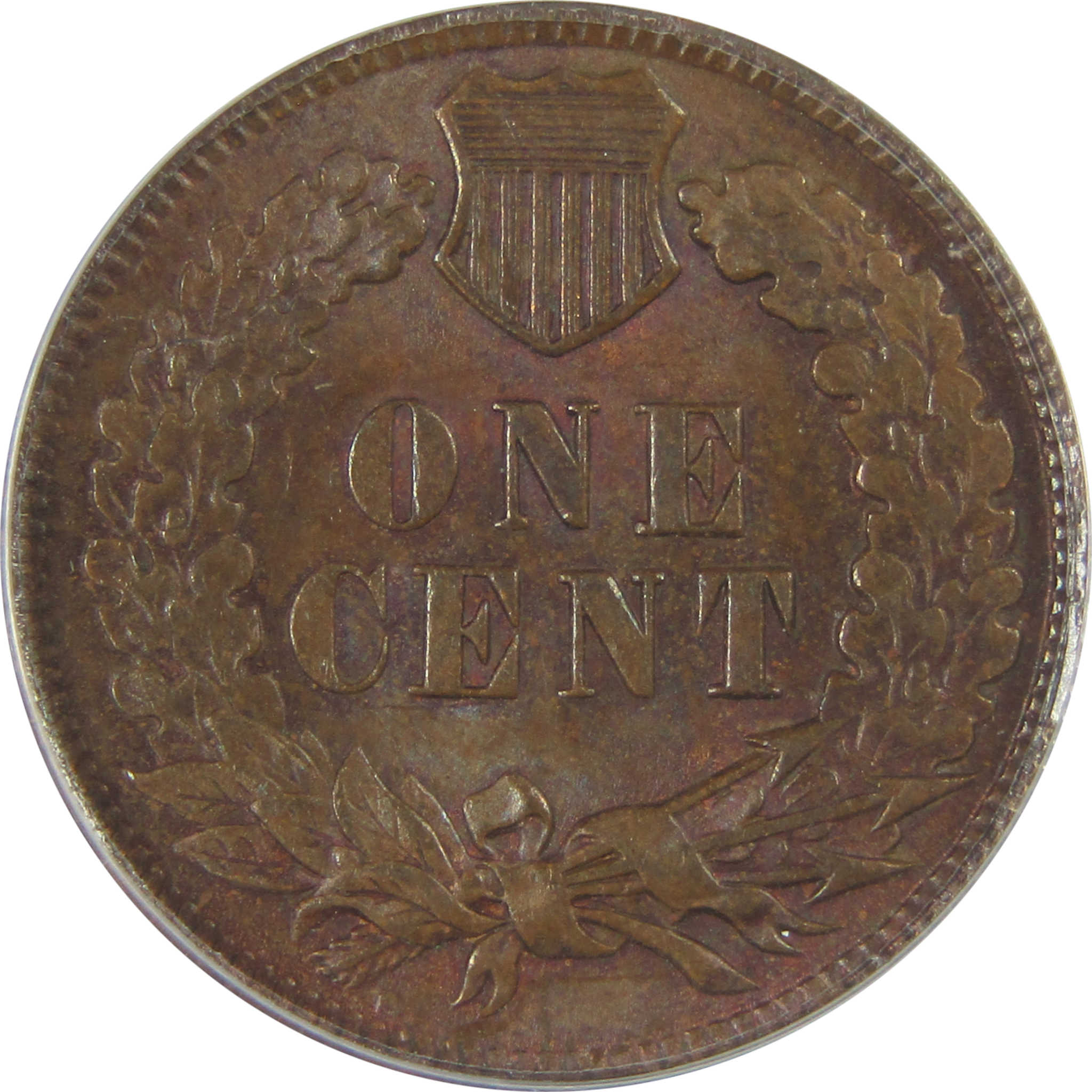 1901 Indian Head Cent MS 62 BN ANACS Penny Uncirculated SKU:I23008