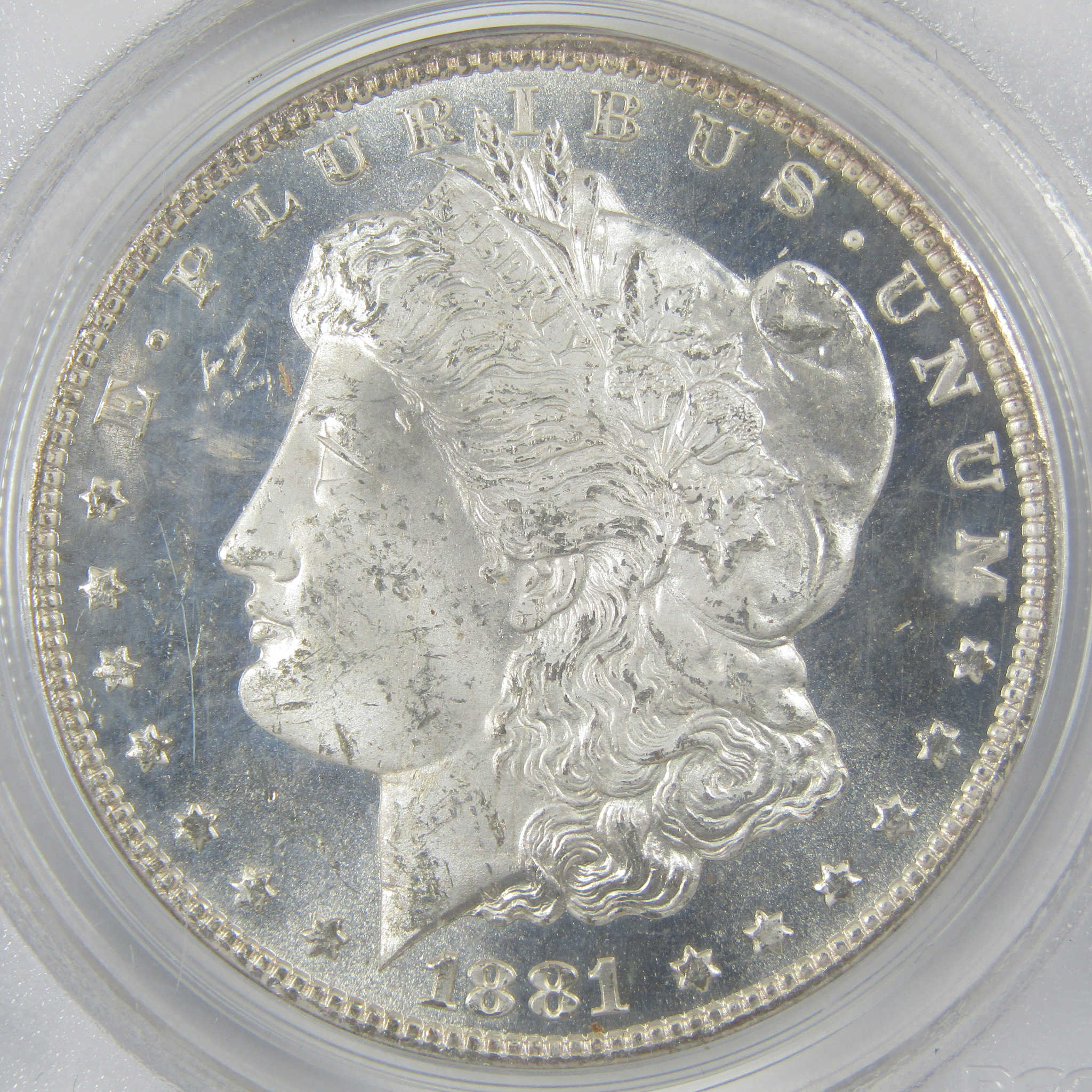 1881 CC Morgan Silver Dollar MS 63 DMPL PCGS Proof-Like $1 Coin - Morgan coin - Morgan silver dollar - Morgan silver dollar for sale - Profile Coins & Collectibles