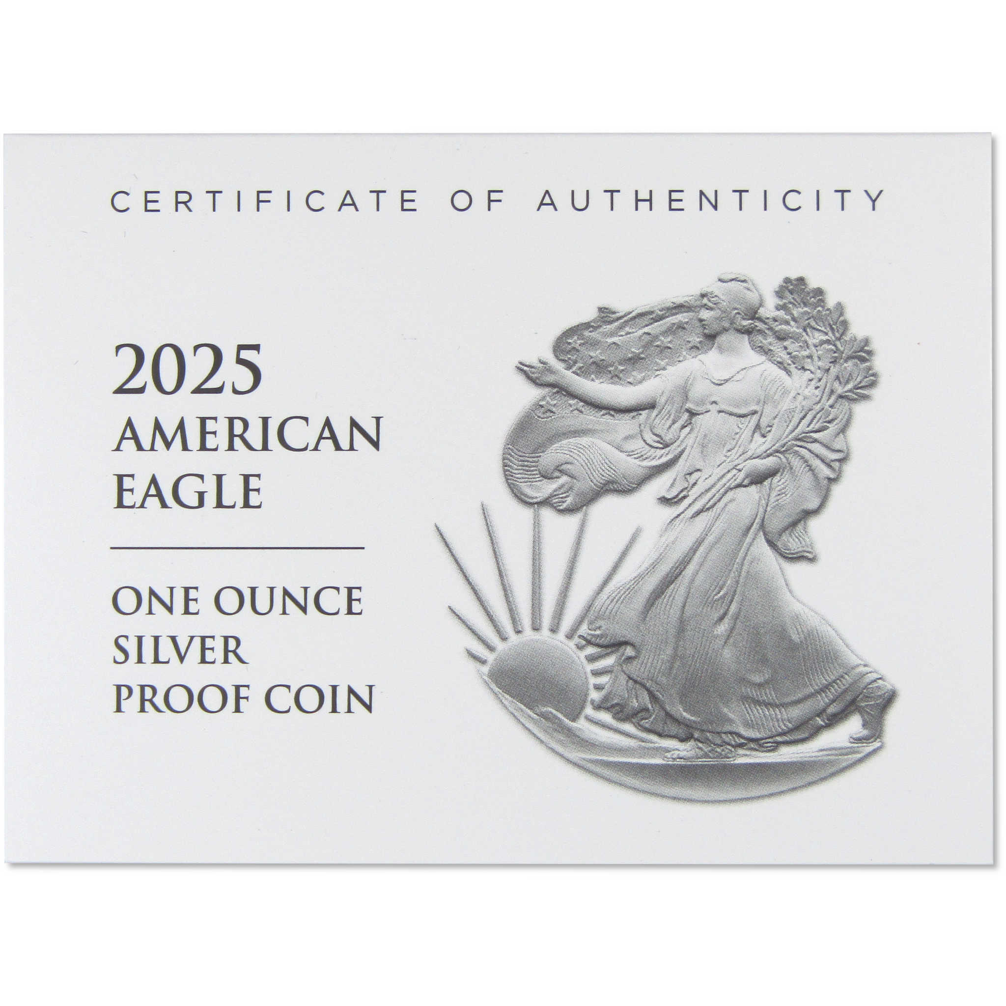 2025 W American Silver Eagle Choice Proof Bullion $1 Coin OGP COA