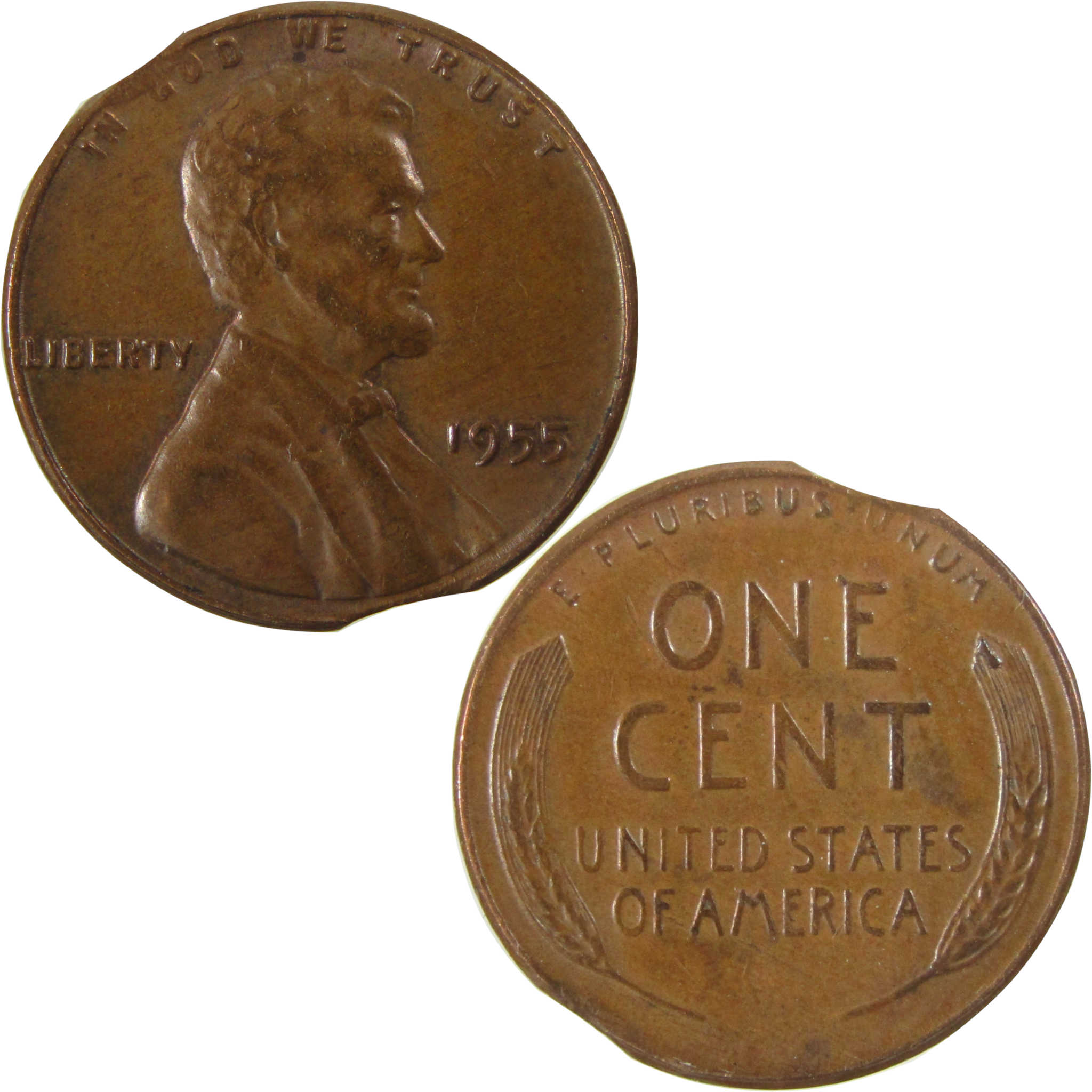 1955 Lincoln Wheat Cent AU About Uncirculated Planchet Flaw SKU:CP1605