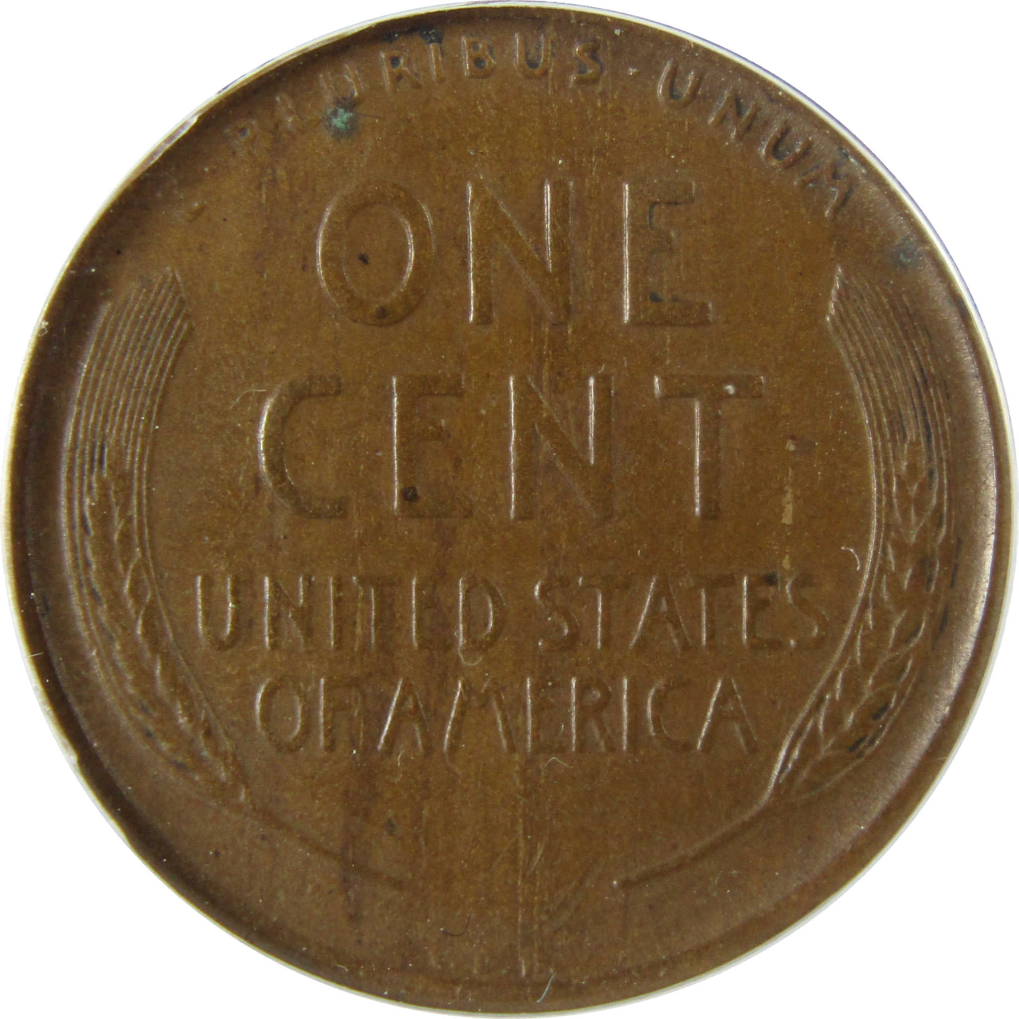 1909 S VDB Lincoln Wheat Cent VF 20 ANACS Penny 1c Coin SKU:I27944
