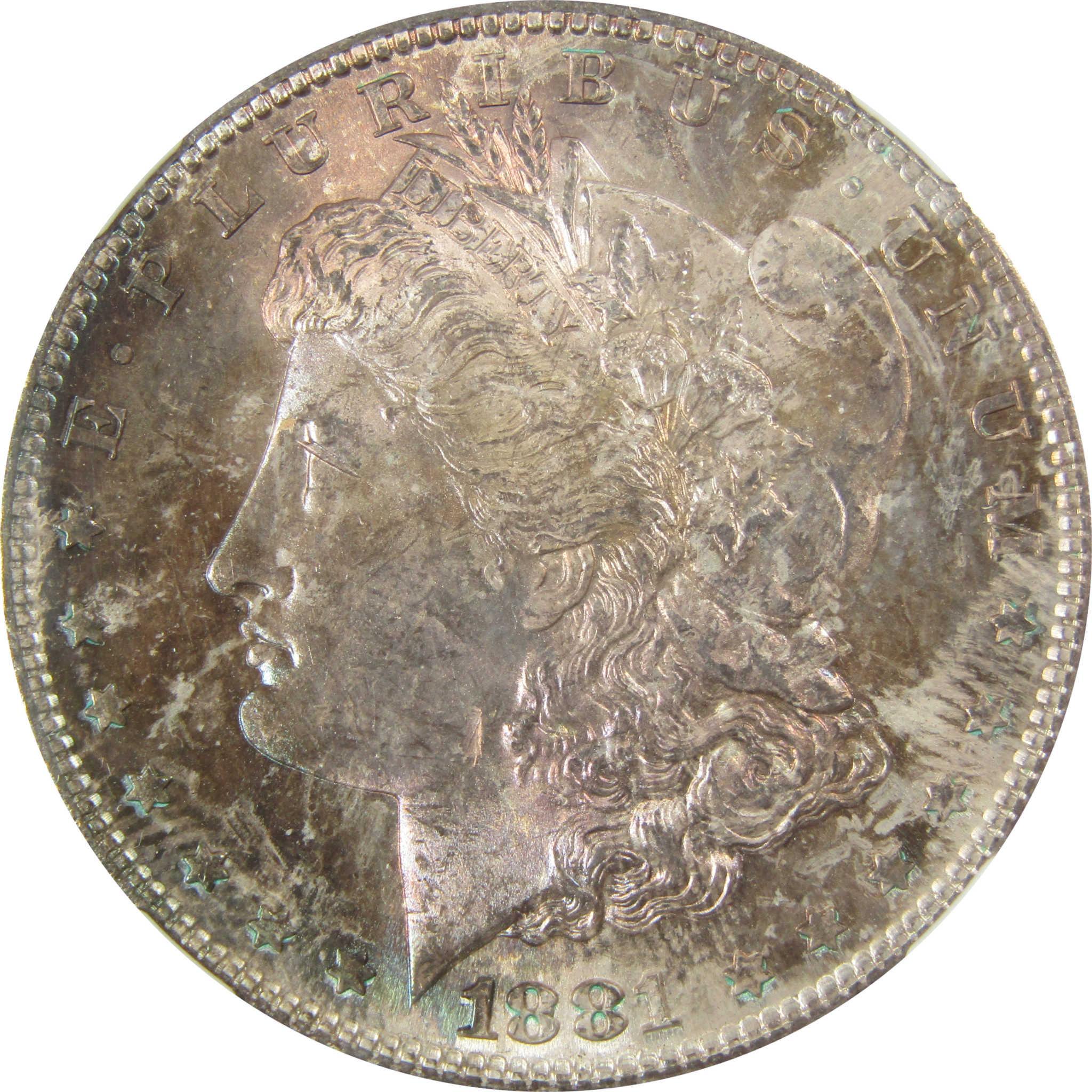1881 S Morgan Silver Dollar MS 64 NGC Toned Obverse SKU:CP393