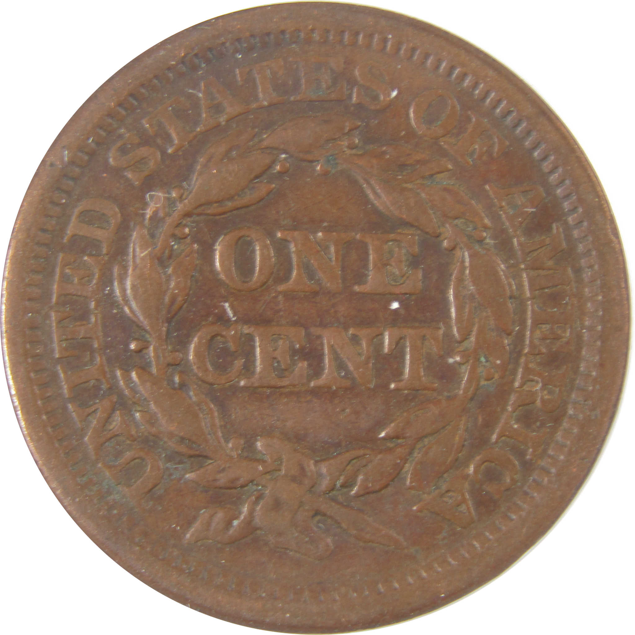 1855 Knob on Ear Braided Hair Large Cent VF30 Details ANACS SKU:I20099