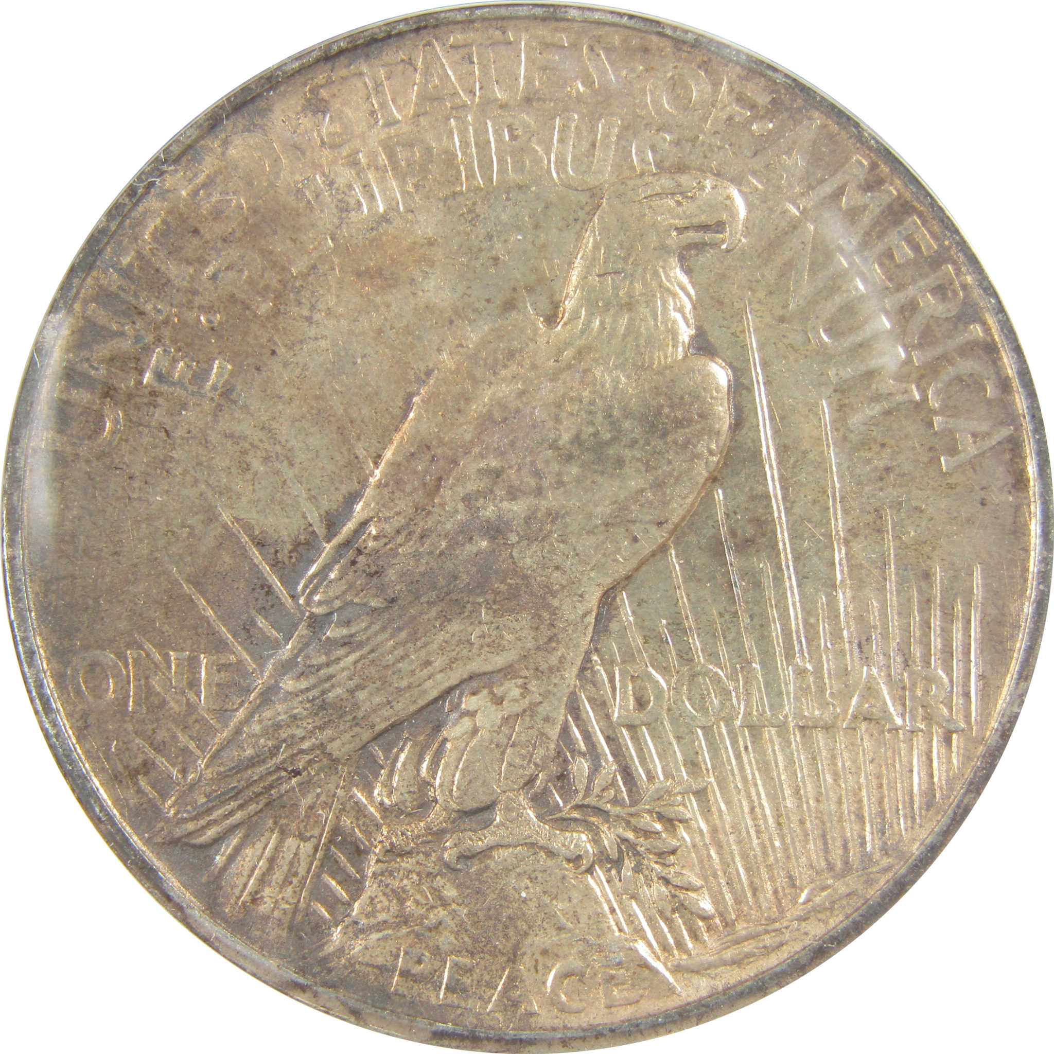 1921 High Relief Peace Dollar MS 60 Details ANACS Silver SKU:I21401