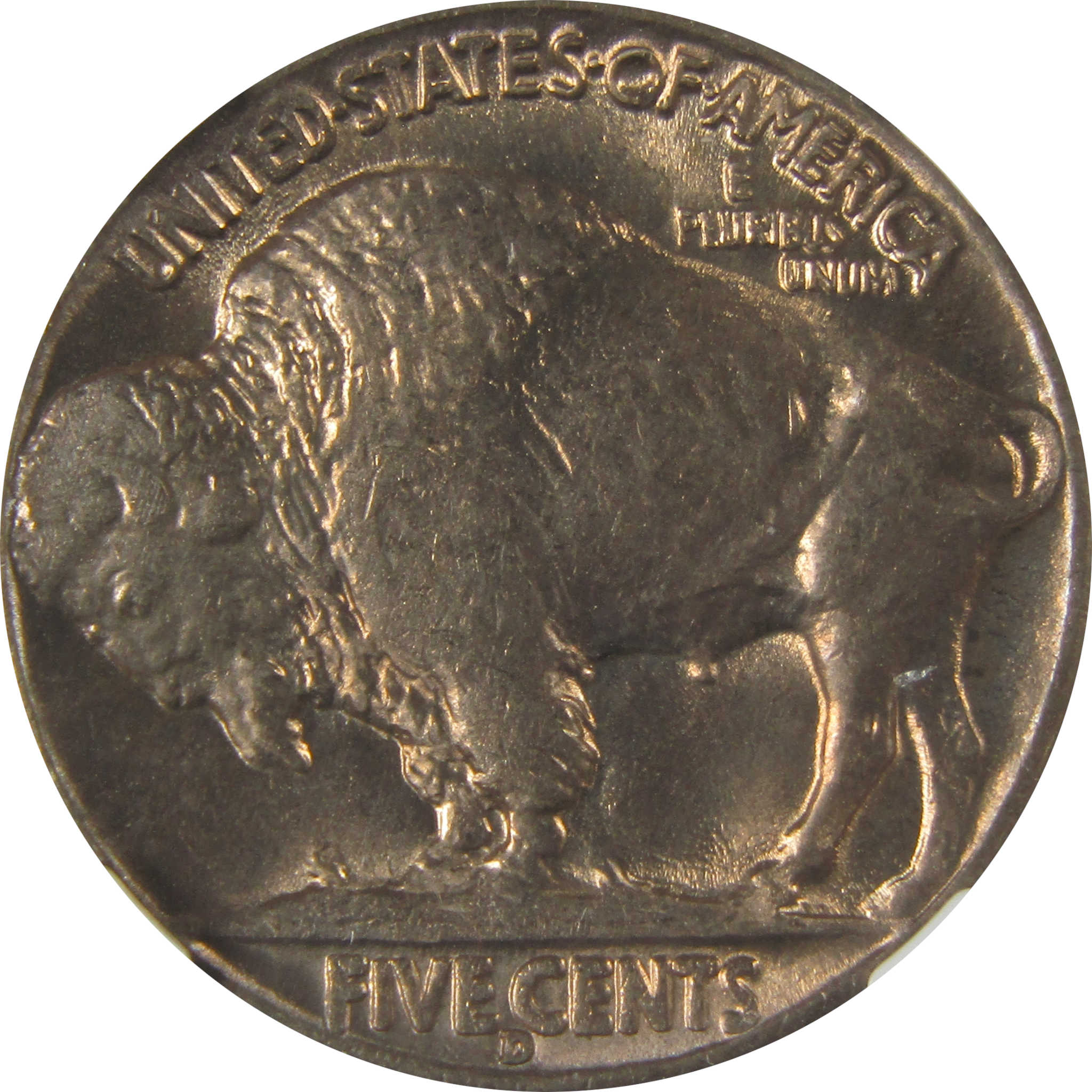 1936 D Indian Head Buffalo Nickel MS 65 NGC Bag Fragment SKU:I22653