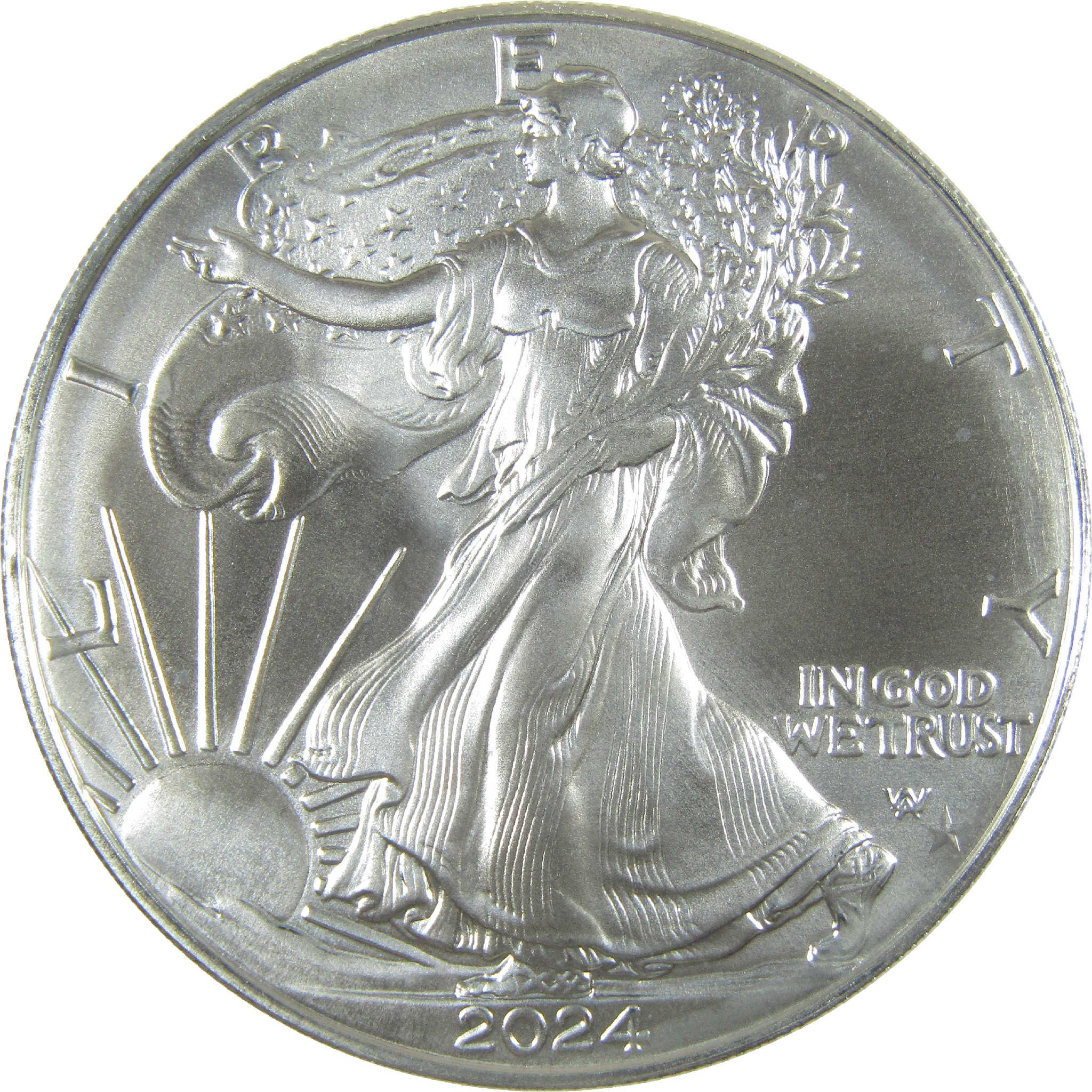 2024 (P) Star Privy Mark American Silver Eagle Uncirculated Coin