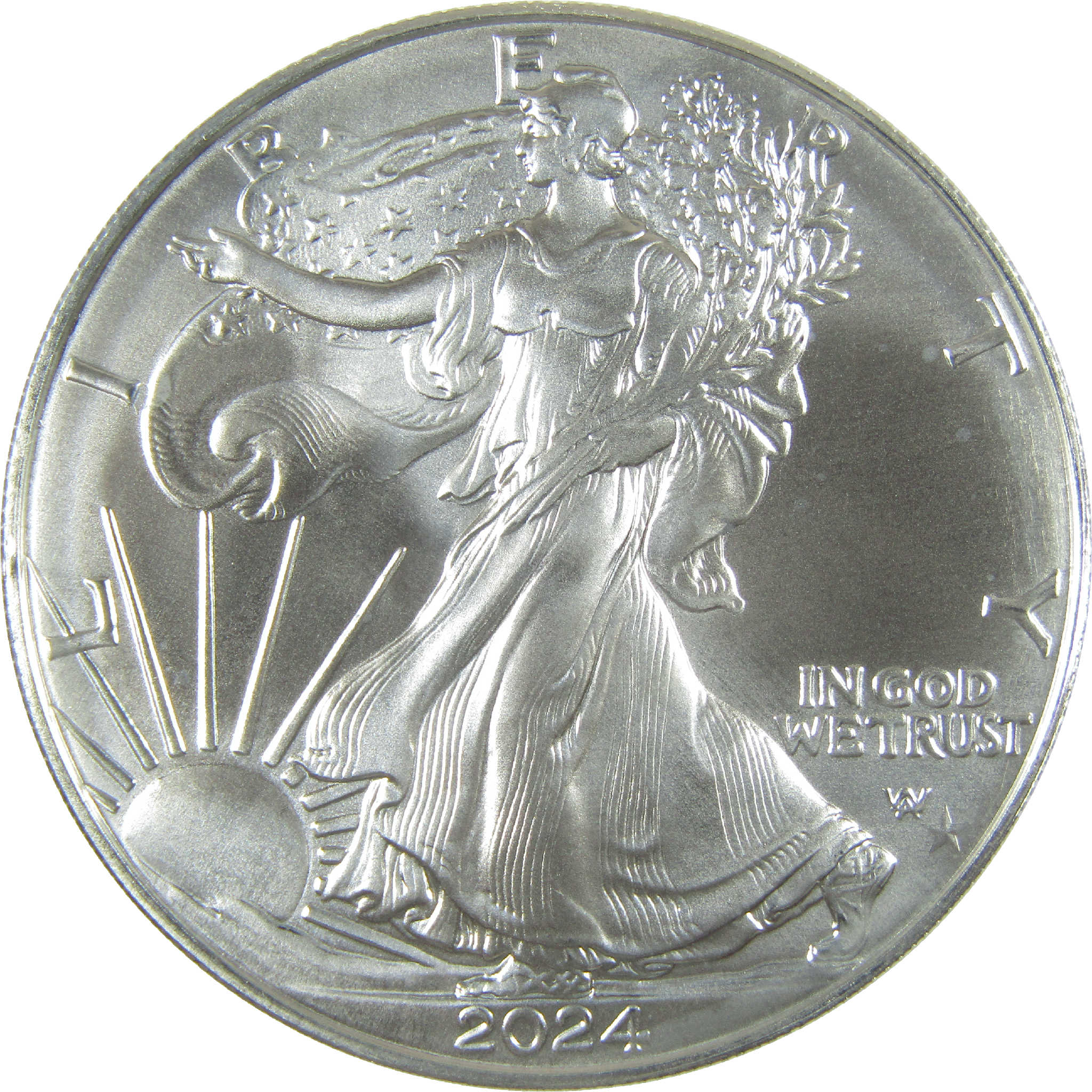 2024 American Silver Eagle with Star Privy Mark Uncirculated $1 Coin