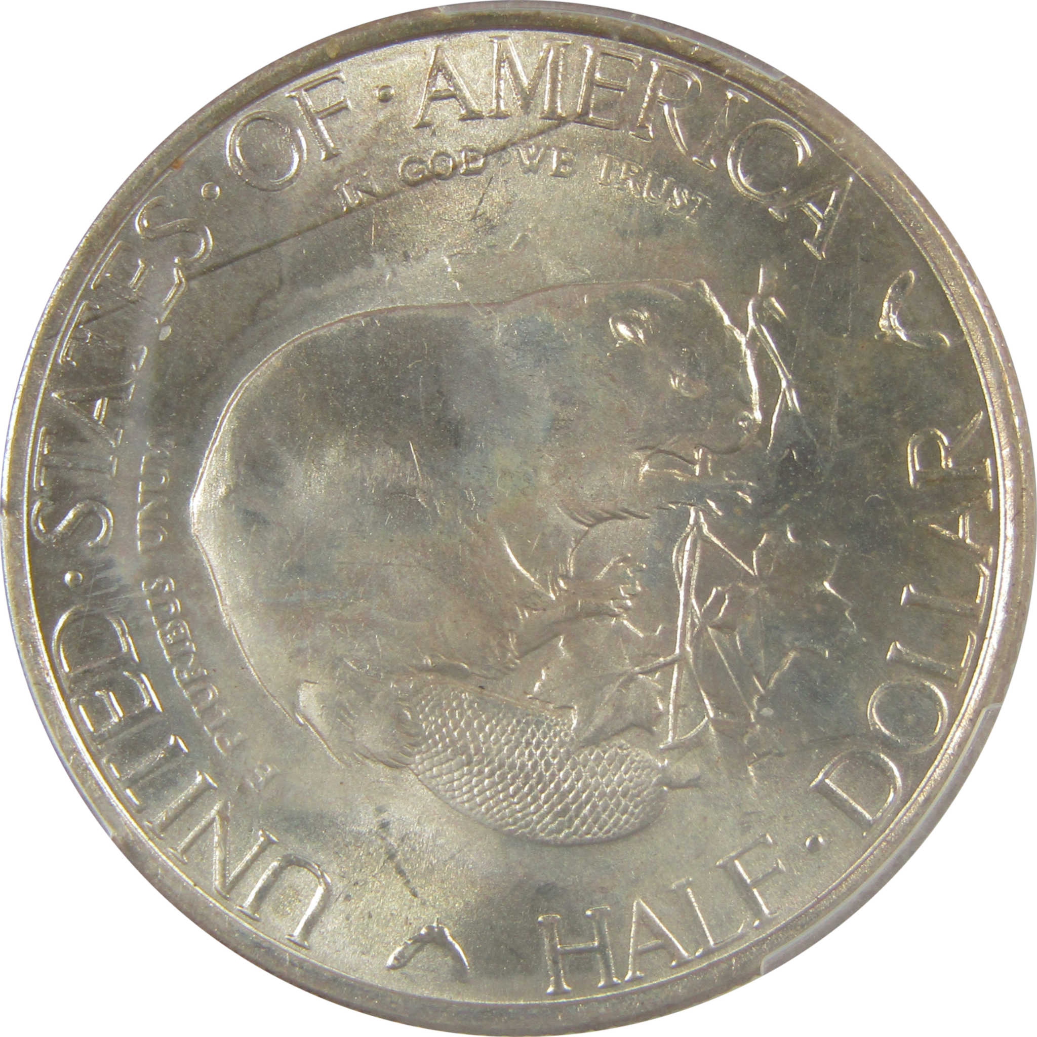 Albany New York Commemorative Half Dollar 1936 MS 65 PCGS SKU:I22015