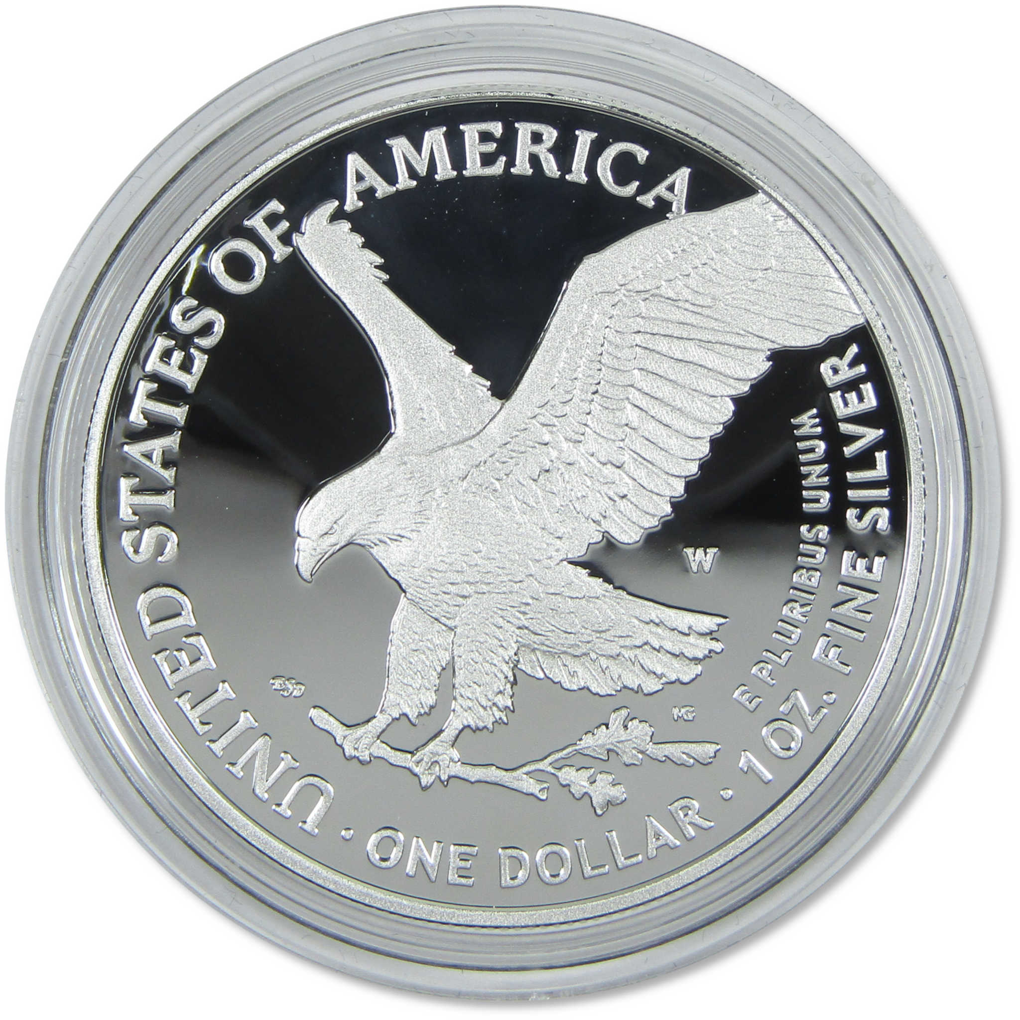 2023 W American Silver Eagle Choice Proof Bullion $1 Coin OGP COA