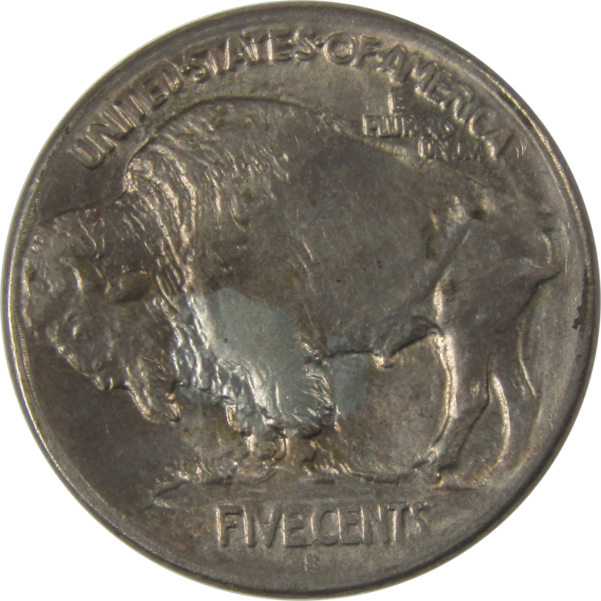 1913 S Type 1 Buffalo Nickel CHAU Obverse Lamination Error SKU:I21029