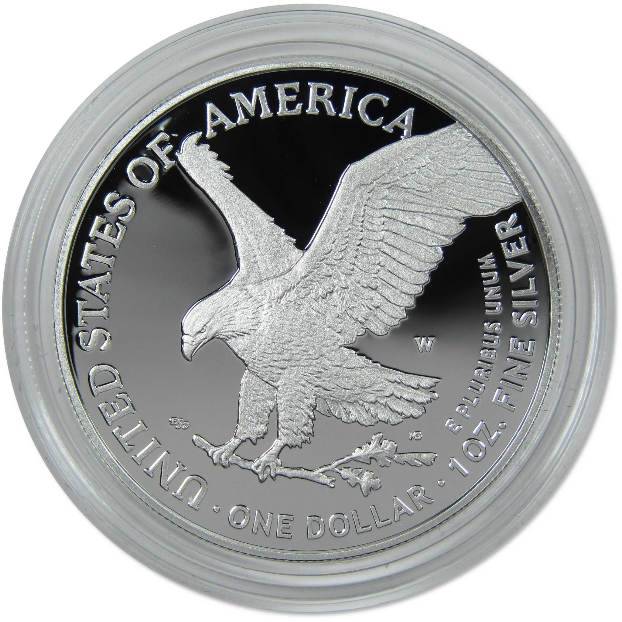 2024 W American Silver Eagle Choice Proof Bullion $1 Coin OGP COA