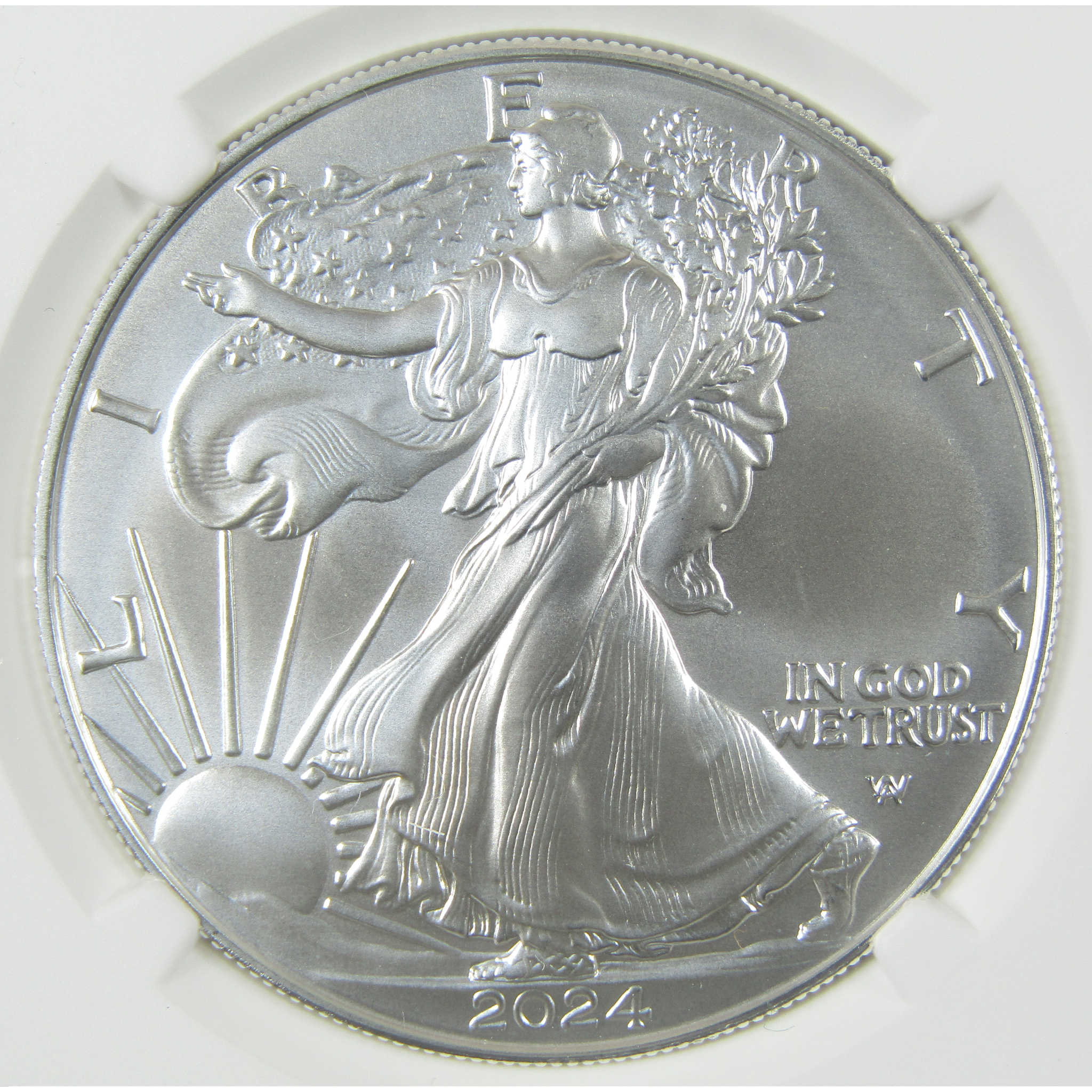 2024 W American Silver Eagle MS 70 NGC Burnished $1 Coin First Day