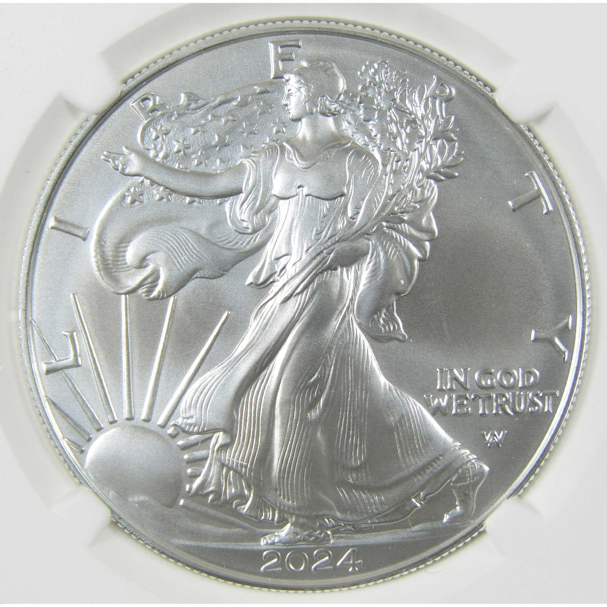 2024 American Silver Eagle MS 70 NGC Uncirculated $1 Coin First Day