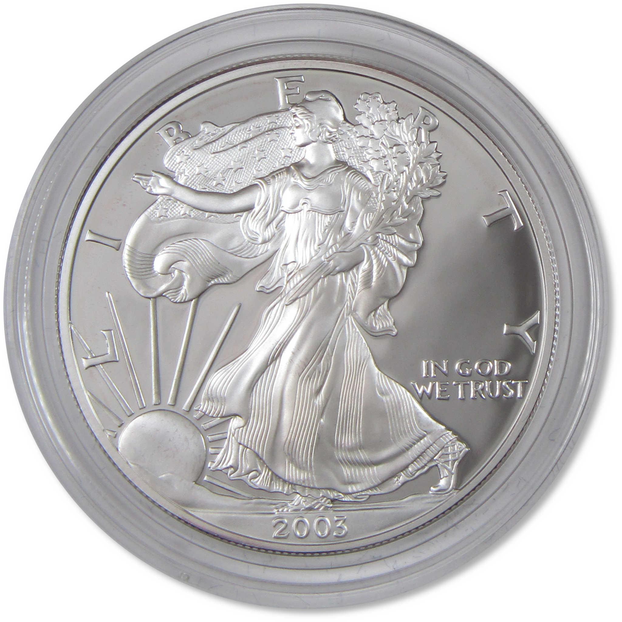 2003 W American Silver Eagle Choice Proof Bullion $1 Coin OGP COA
