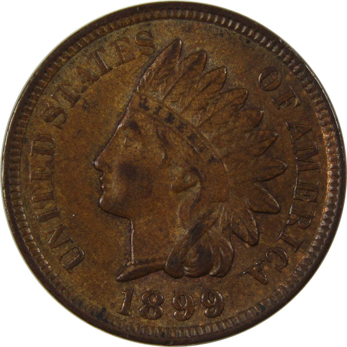 1899 Indian Head Cent Borderline Uncirculated Penny 1c Coin