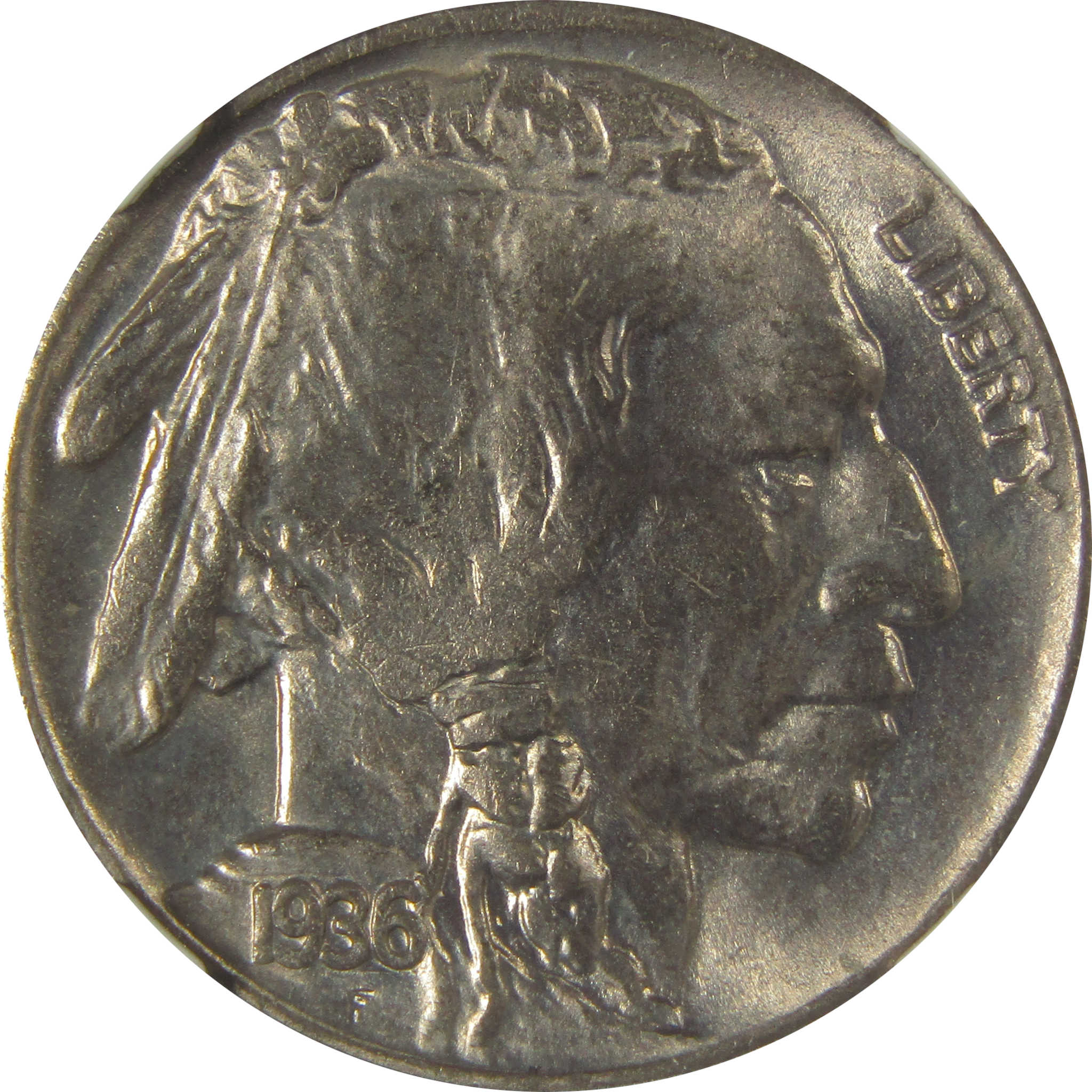 1936 D Indian Head Buffalo Nickel MS 64 NGC Bag Fragment SKU:I22648