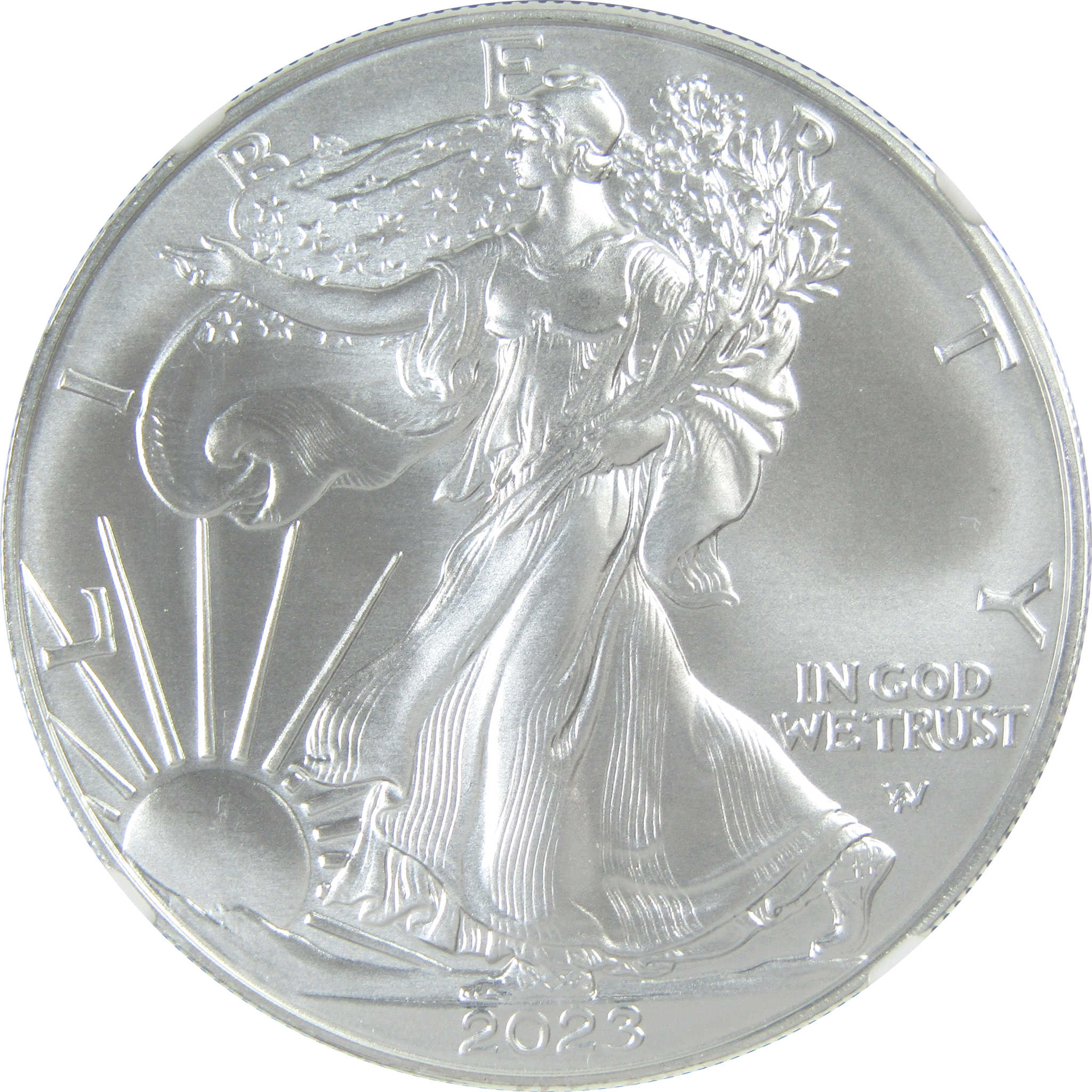 2023 American Silver Eagle MS 70 NGC Bullion Uncirculated $1 Coin
