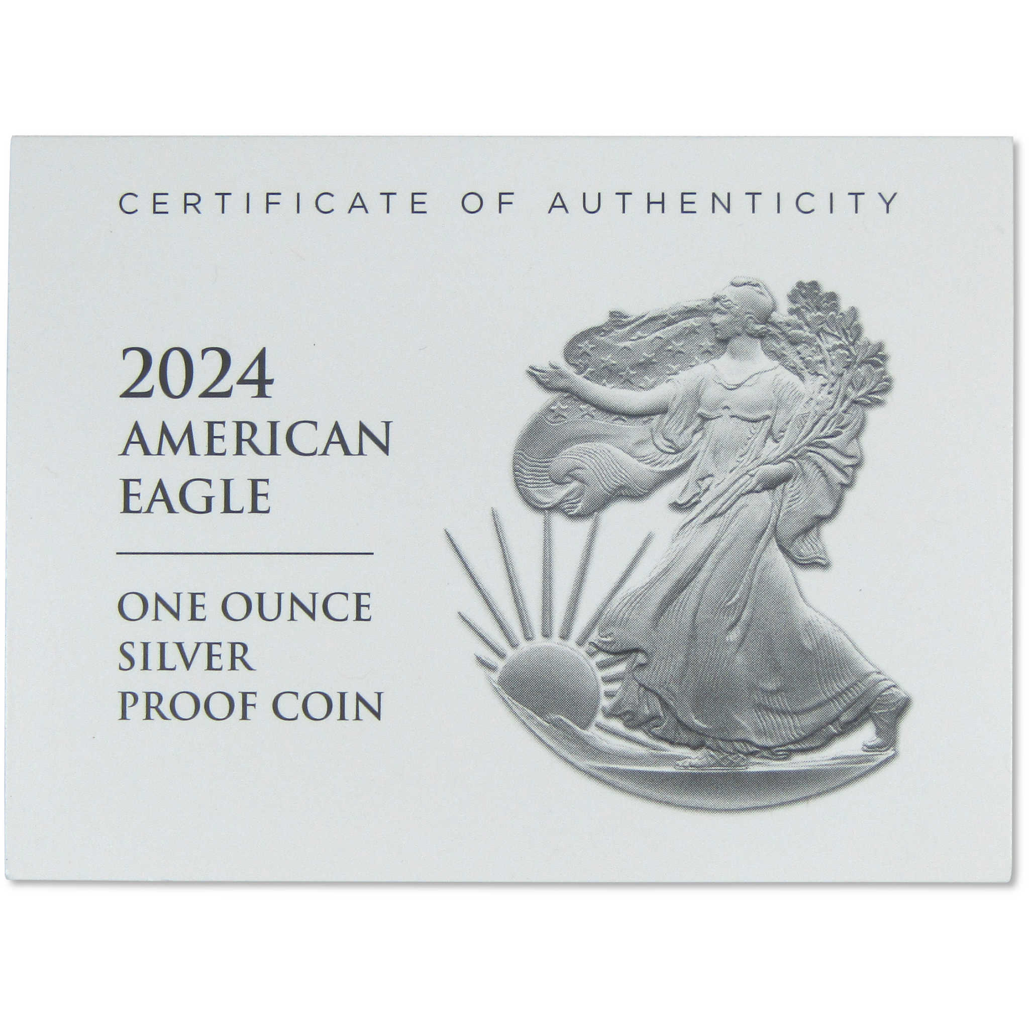 2024 S American Silver Eagle Choice Proof Bullion $1 Coin OGP COA