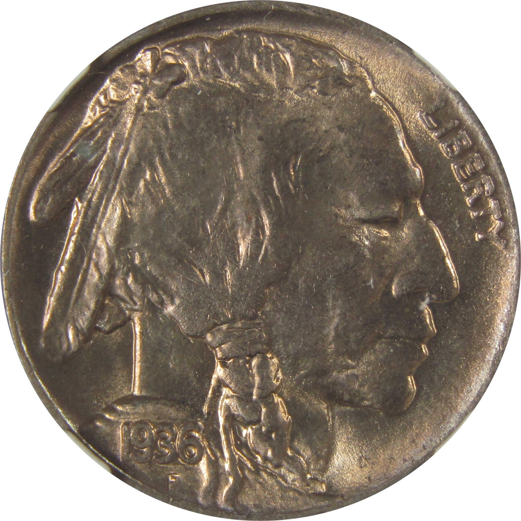 1936 D Indian Head Buffalo Nickel MS 66 NGC Bag Fragment SKU:I22661