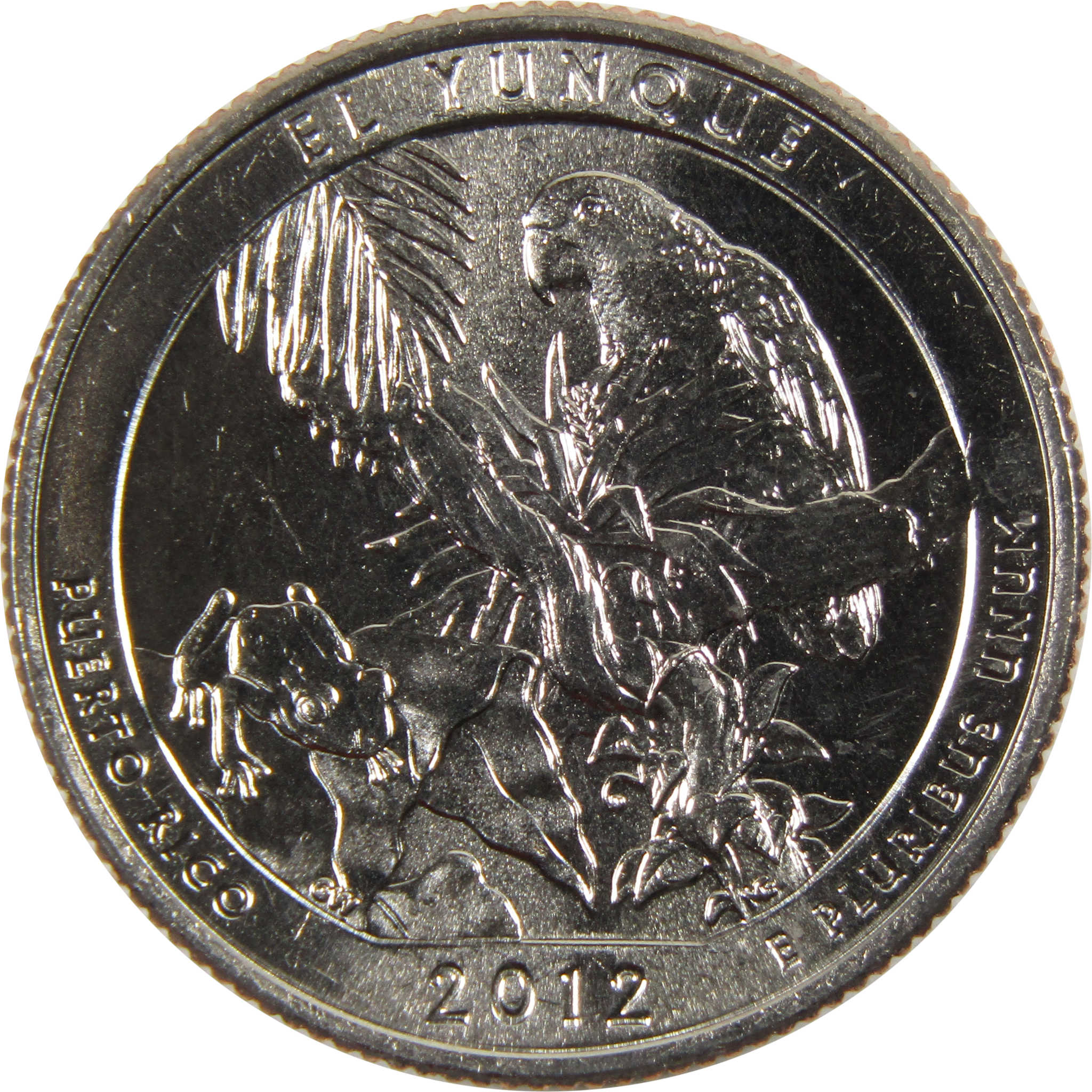 2012 D El Yunque National Forest Quarter BU Uncirculated Clad 25c Coin