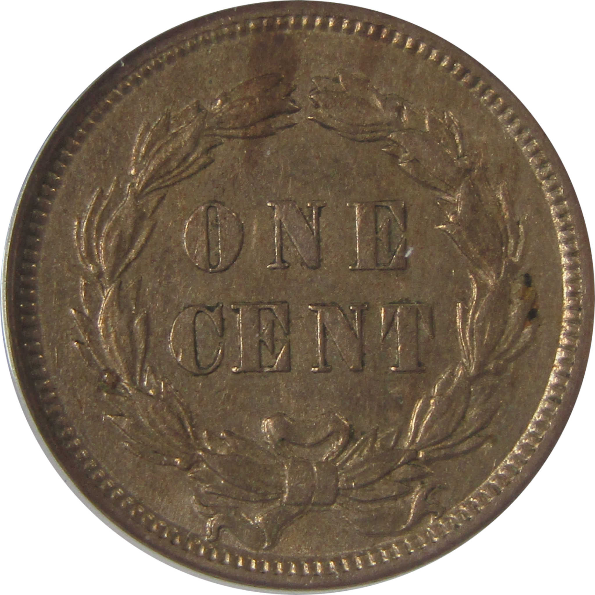 1859 Indian Head Cent AU 55 ANACS Penny 1c Coin Collectible SKU:I23625