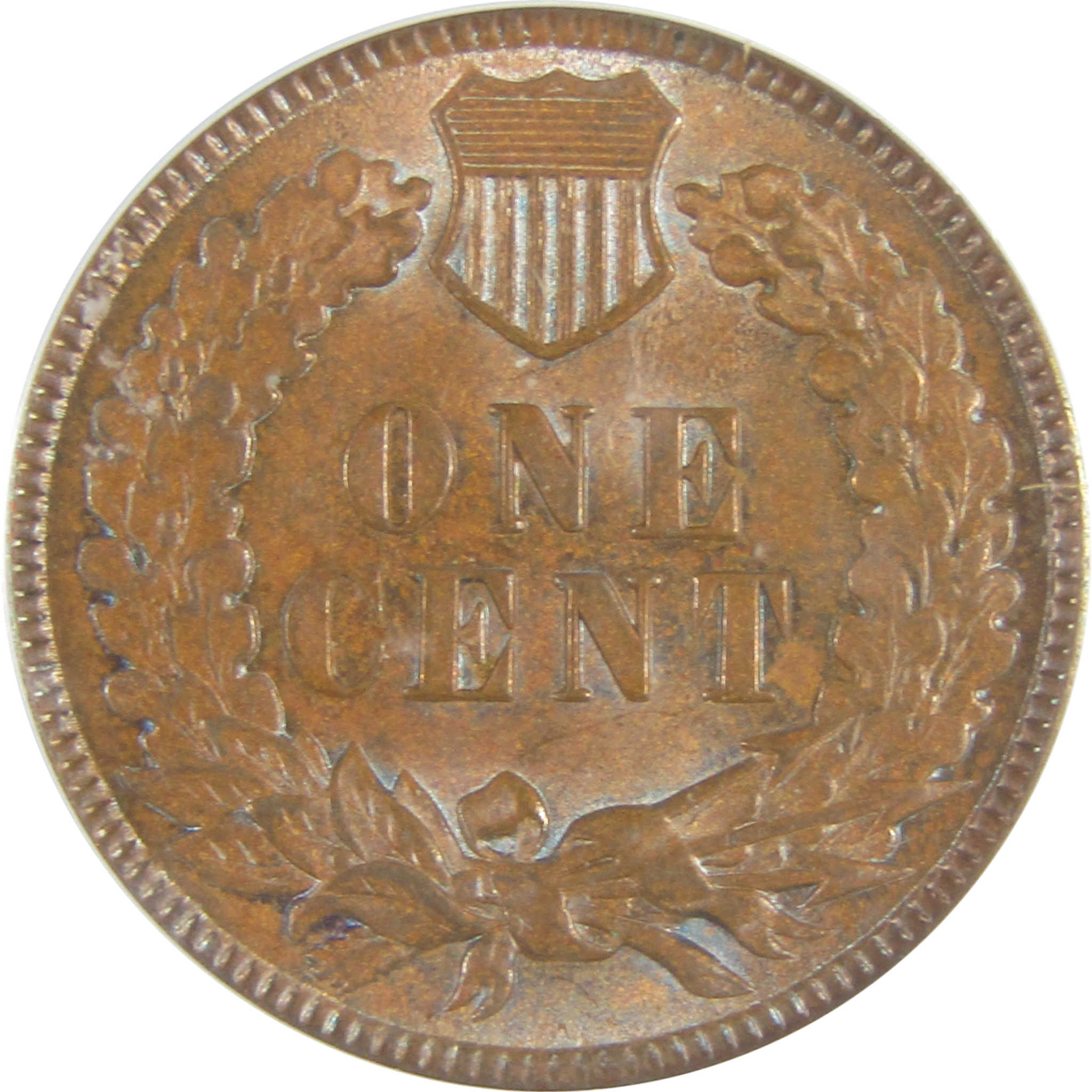 1893 Indian Head Cent MS 63 BN ICG Penny Uncirculated SKU:I22946