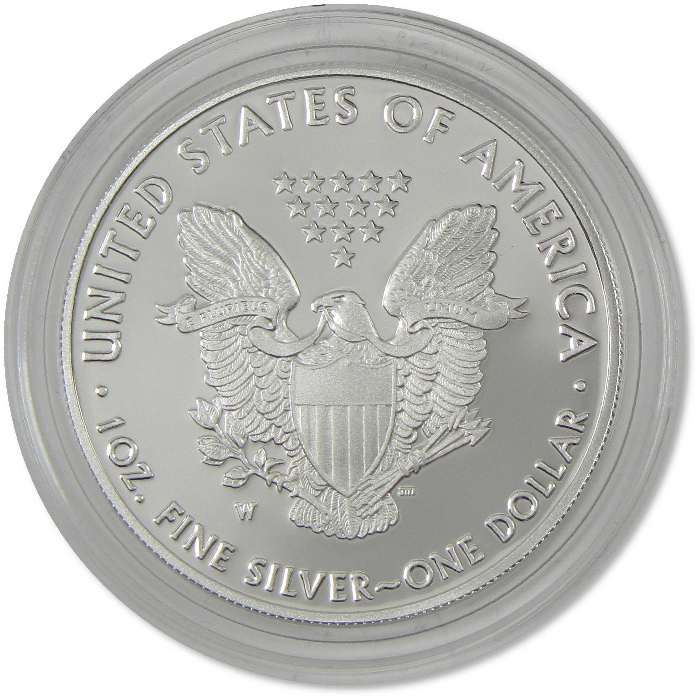 2020 W American Silver Eagle Choice Proof Bullion $1 Coin OGP COA