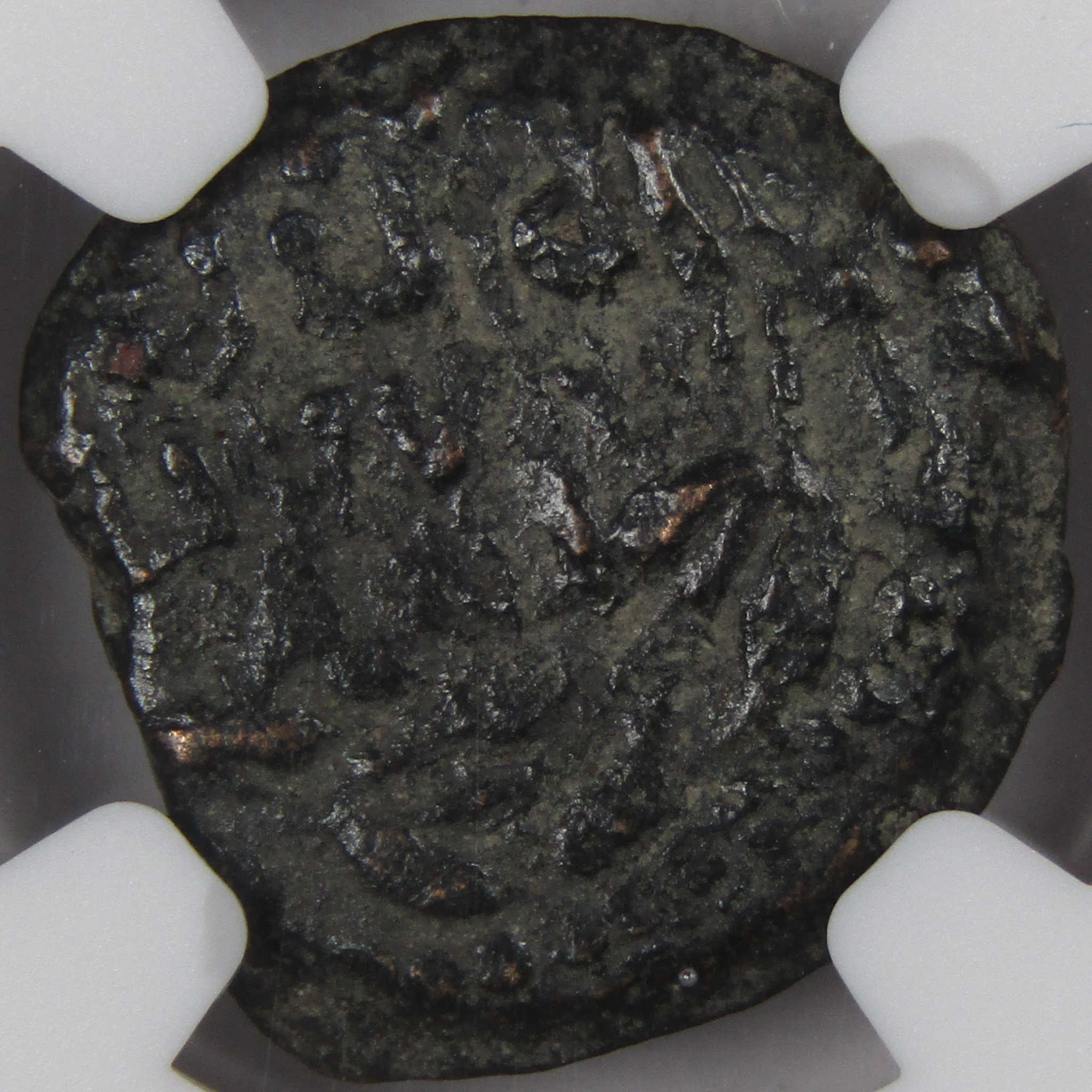 AD 52-59 AntoniFelix Prutah Palm Branches F NGC Ancient Coin SKU:I1980