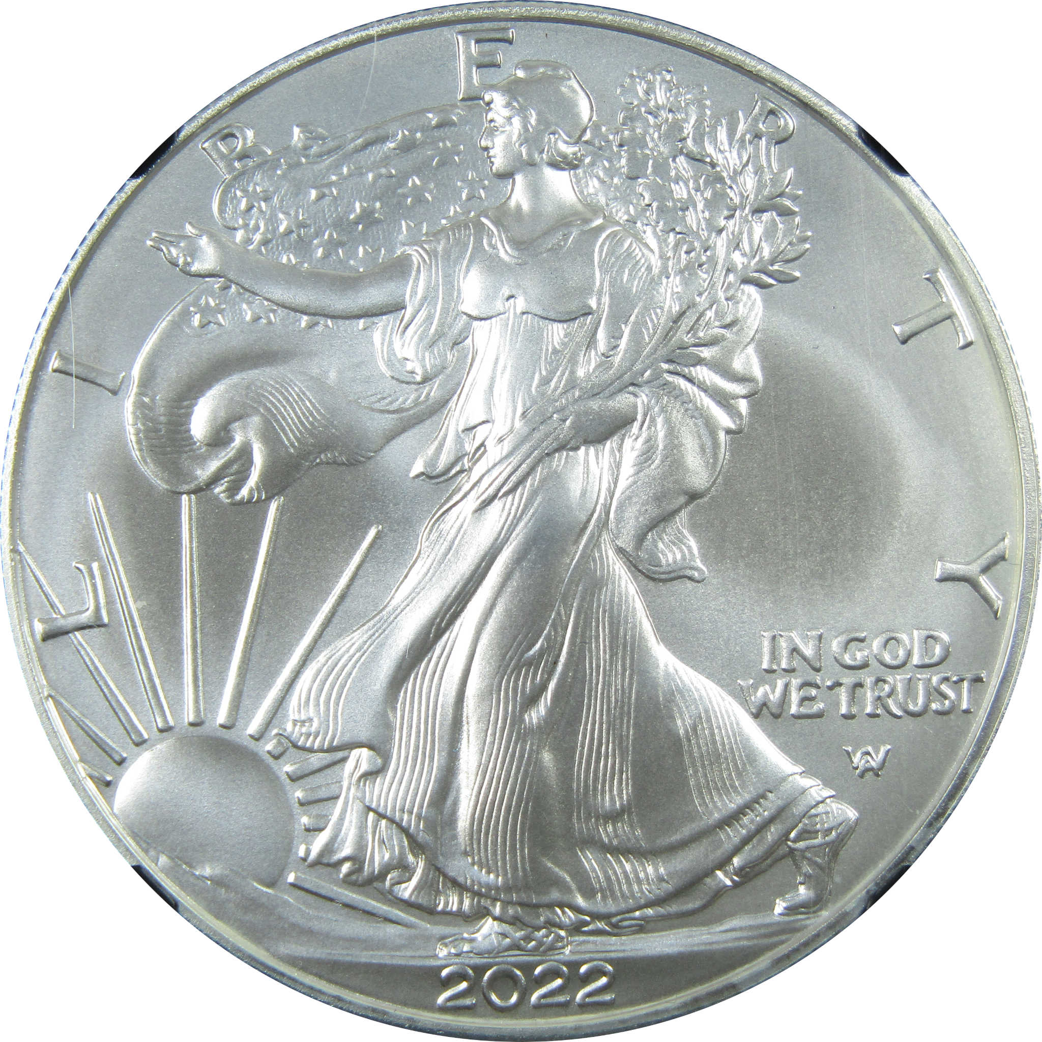 2022 American Eagle MS 70 NGC 1 oz 999 Silver Bullion SKU:CPC7008