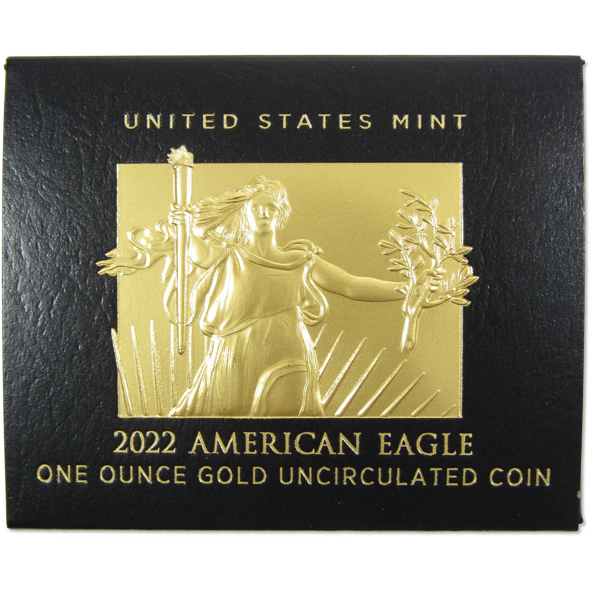 2022 W American Eagle Uncirculated 1 oz Gold $50 OGP COA SKU:OPC58