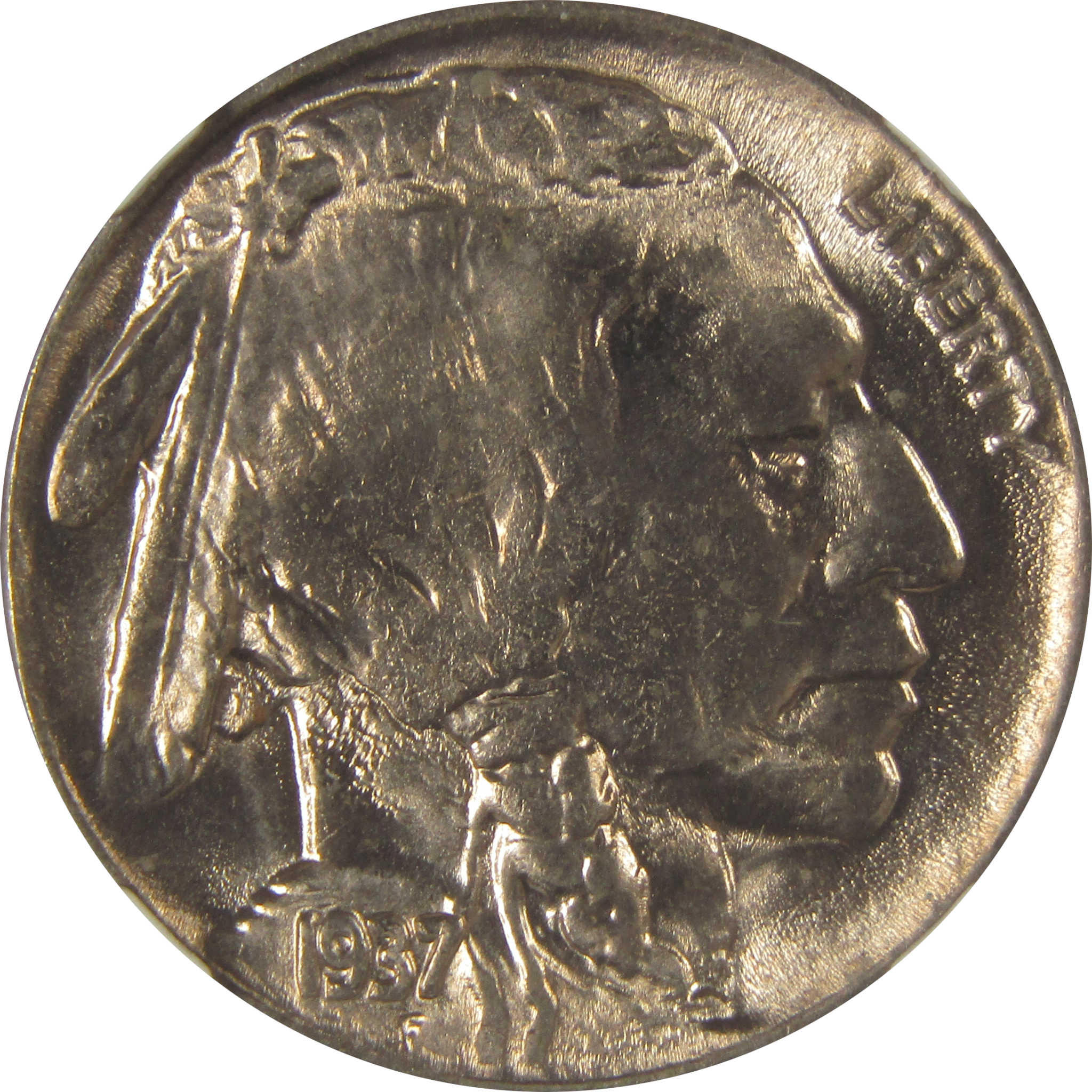 1937 D Indian Head Buffalo Nickel MS 66 NGC Bag Fragment SKU:I22674