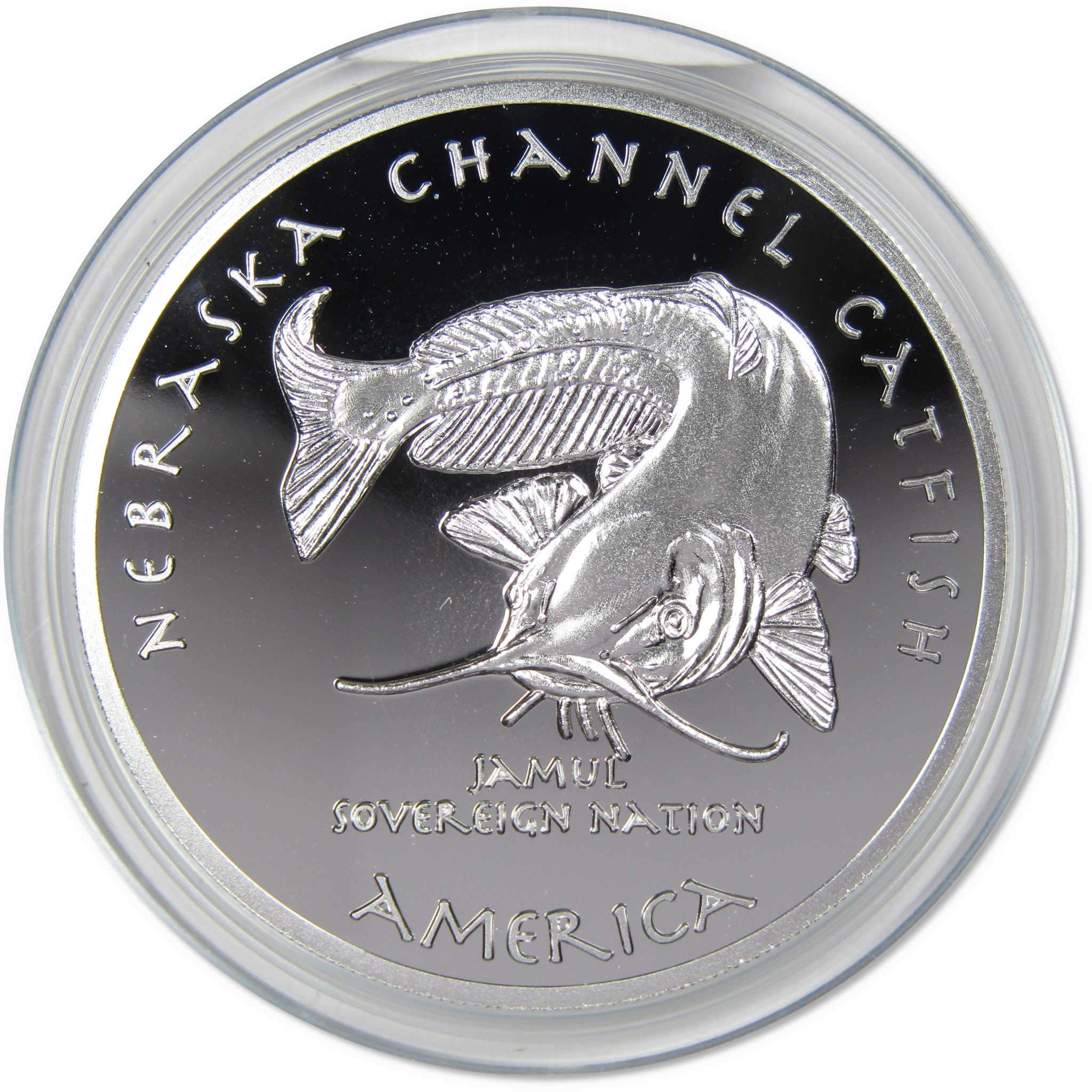 2020 Native American Jamul Arapaho Nebraska Channel Catfish 1oz Silver