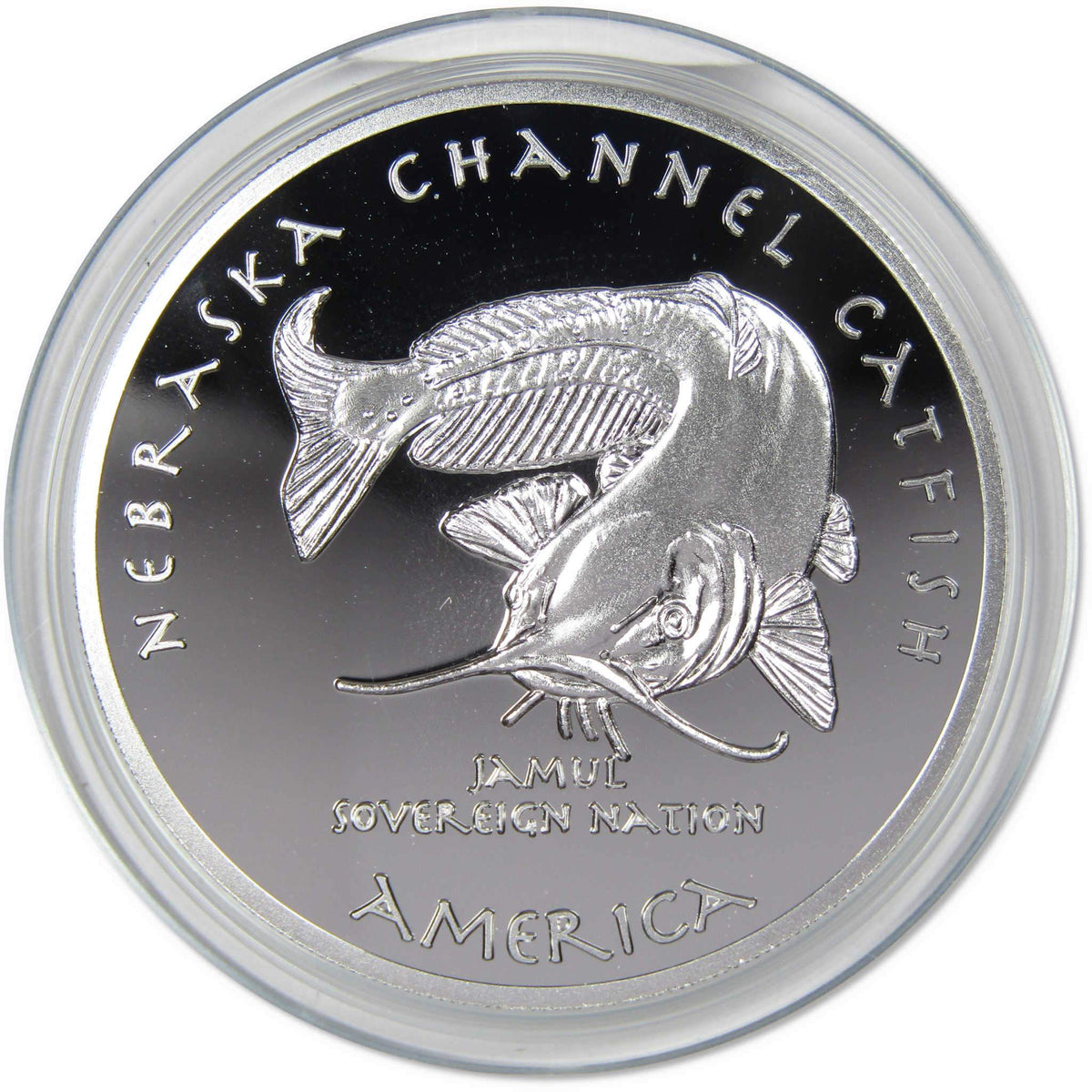 2020 Native American Jamul Arapaho Nebraska Channel Catfish 1oz Silver