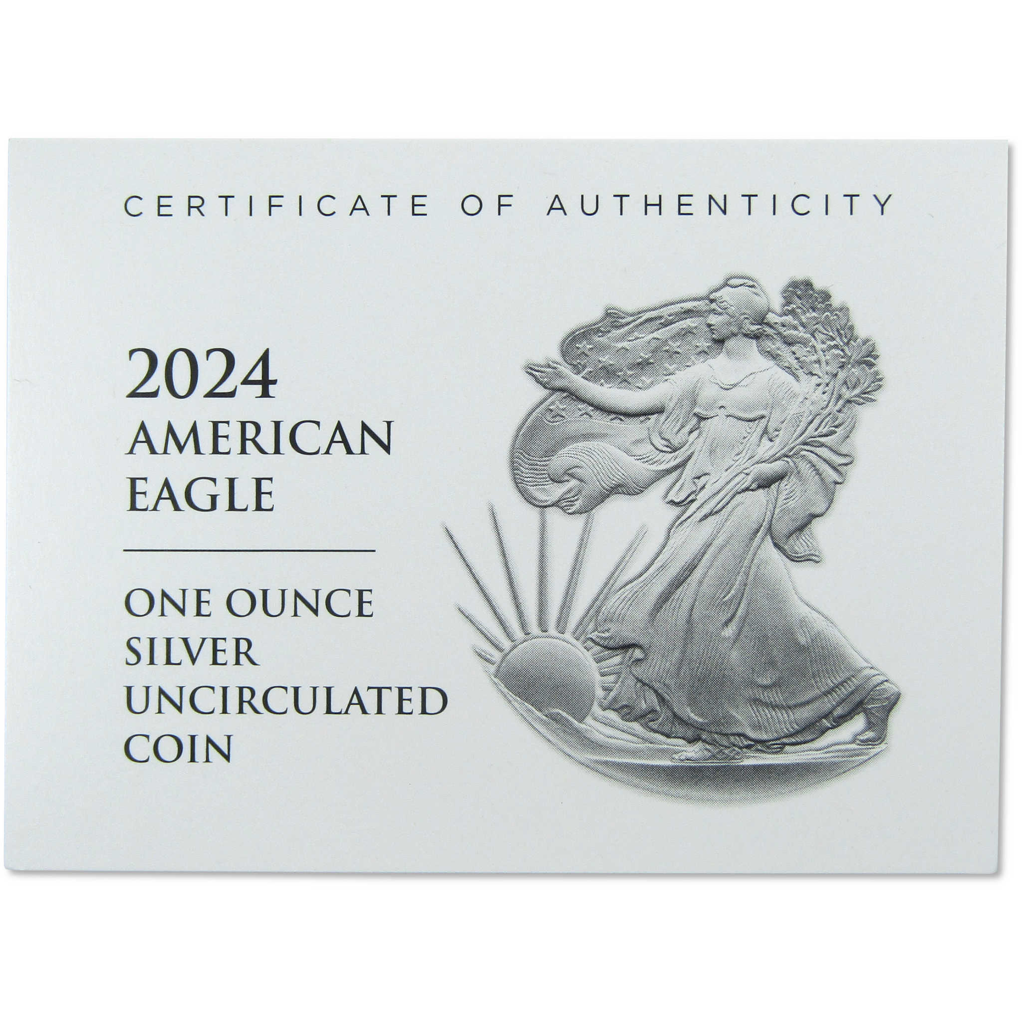 2024 W American Eagle Uncirculated 1 oz .999 Silver Burnished OGP COA