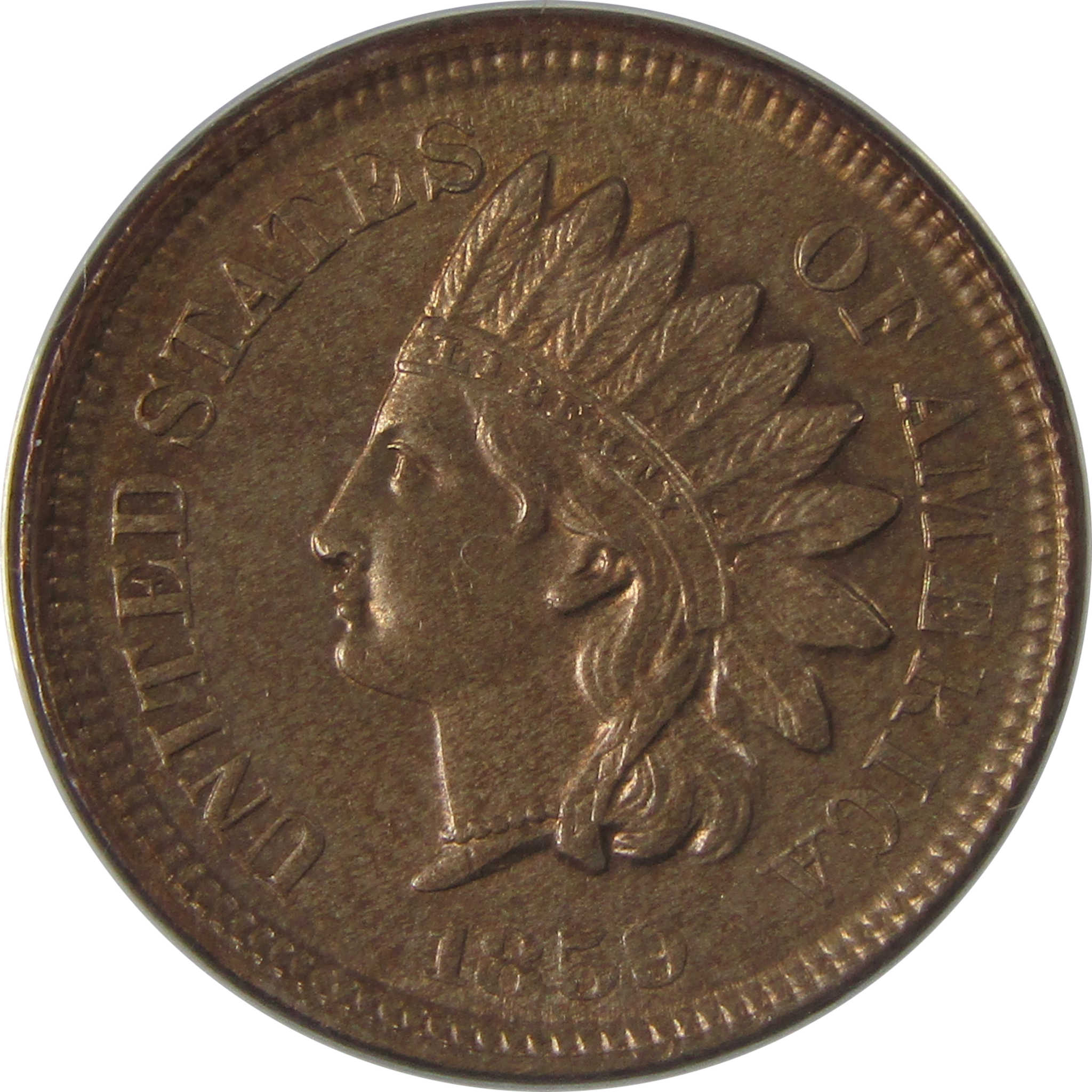 1859 Indian Head Cent MS 63 ANACS Penny Uncirculated SKU:I23637